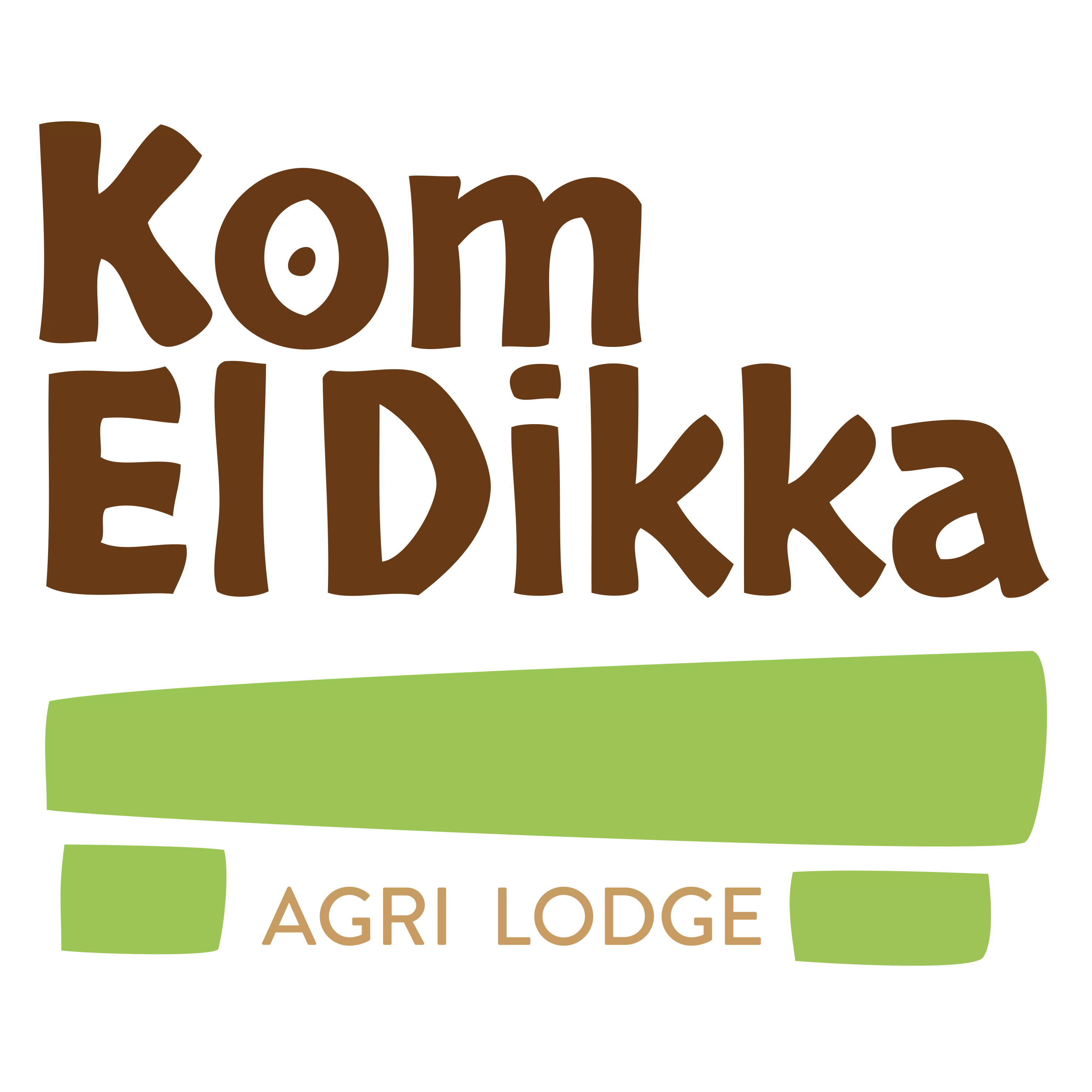 Kom El Dikka Agri Lodge