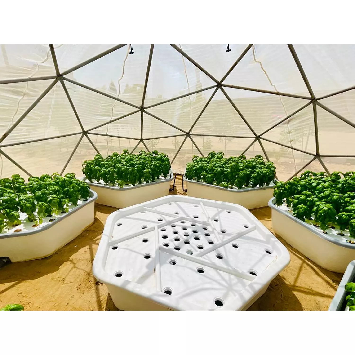 GrowCell System 0