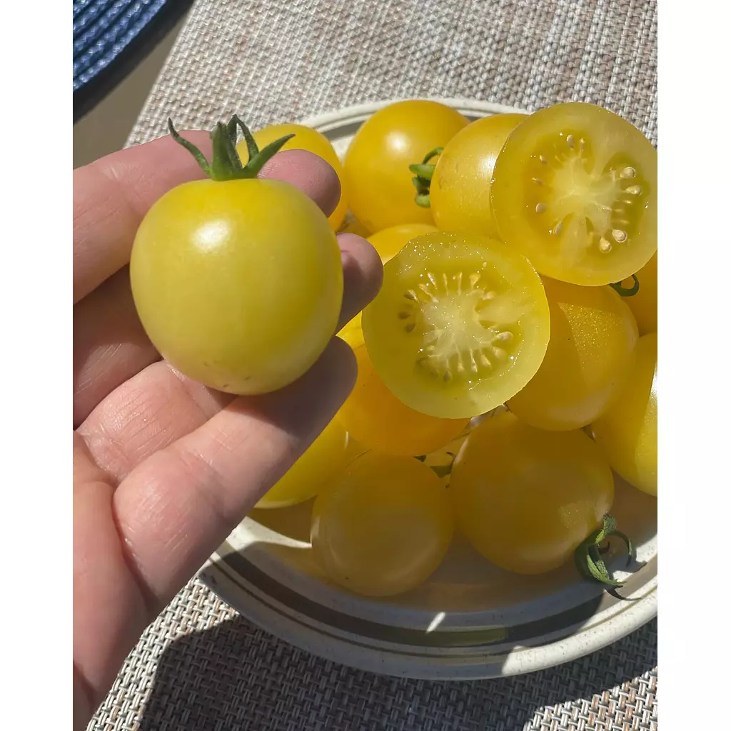 White Cherry Tomato seeds