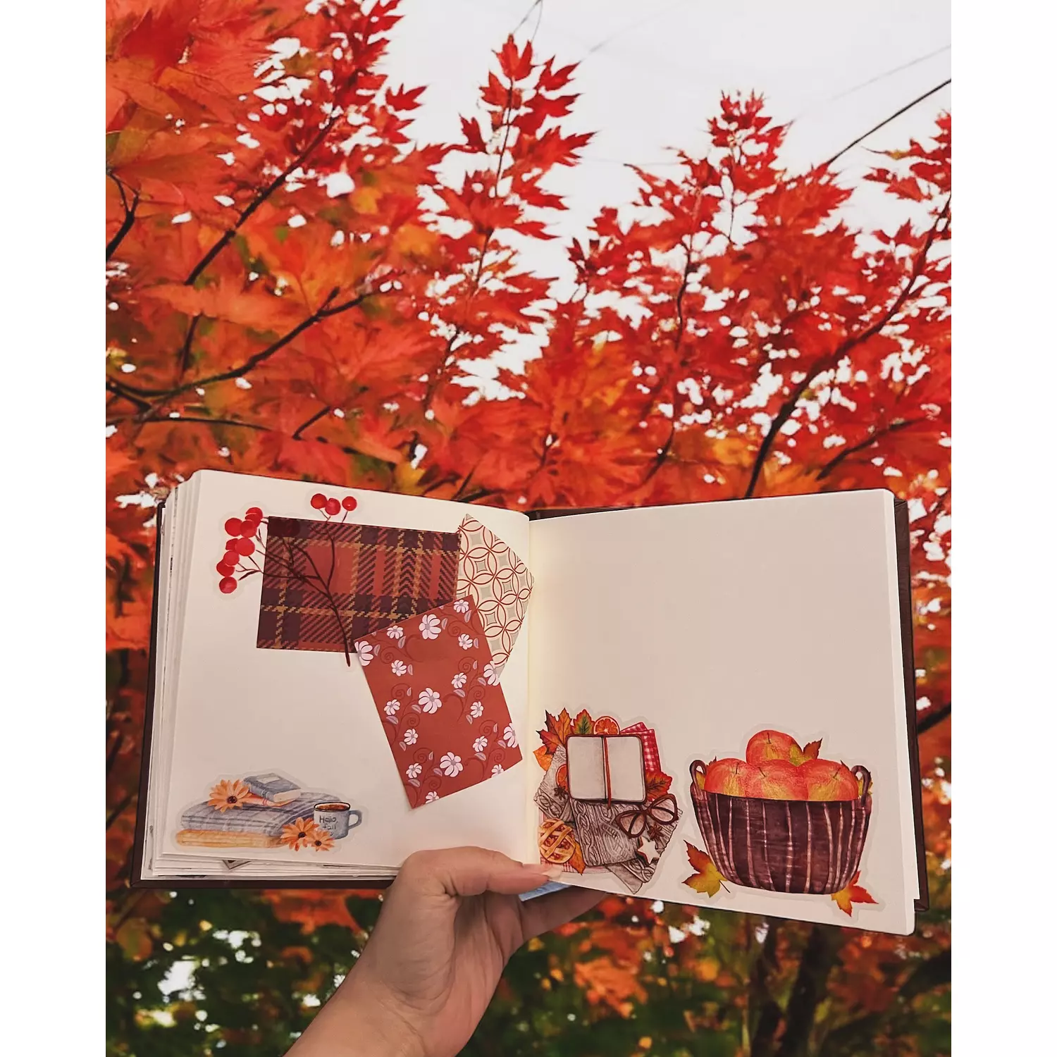 Limited Edition | Autumn Stickers Pack 11