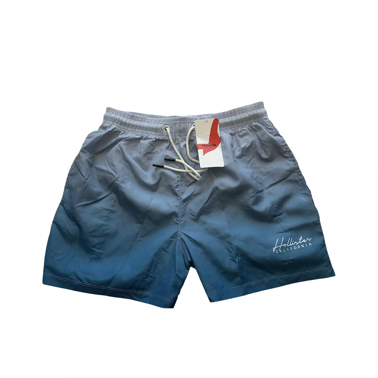 Hollister Gradient Swim Short  -2nd-img