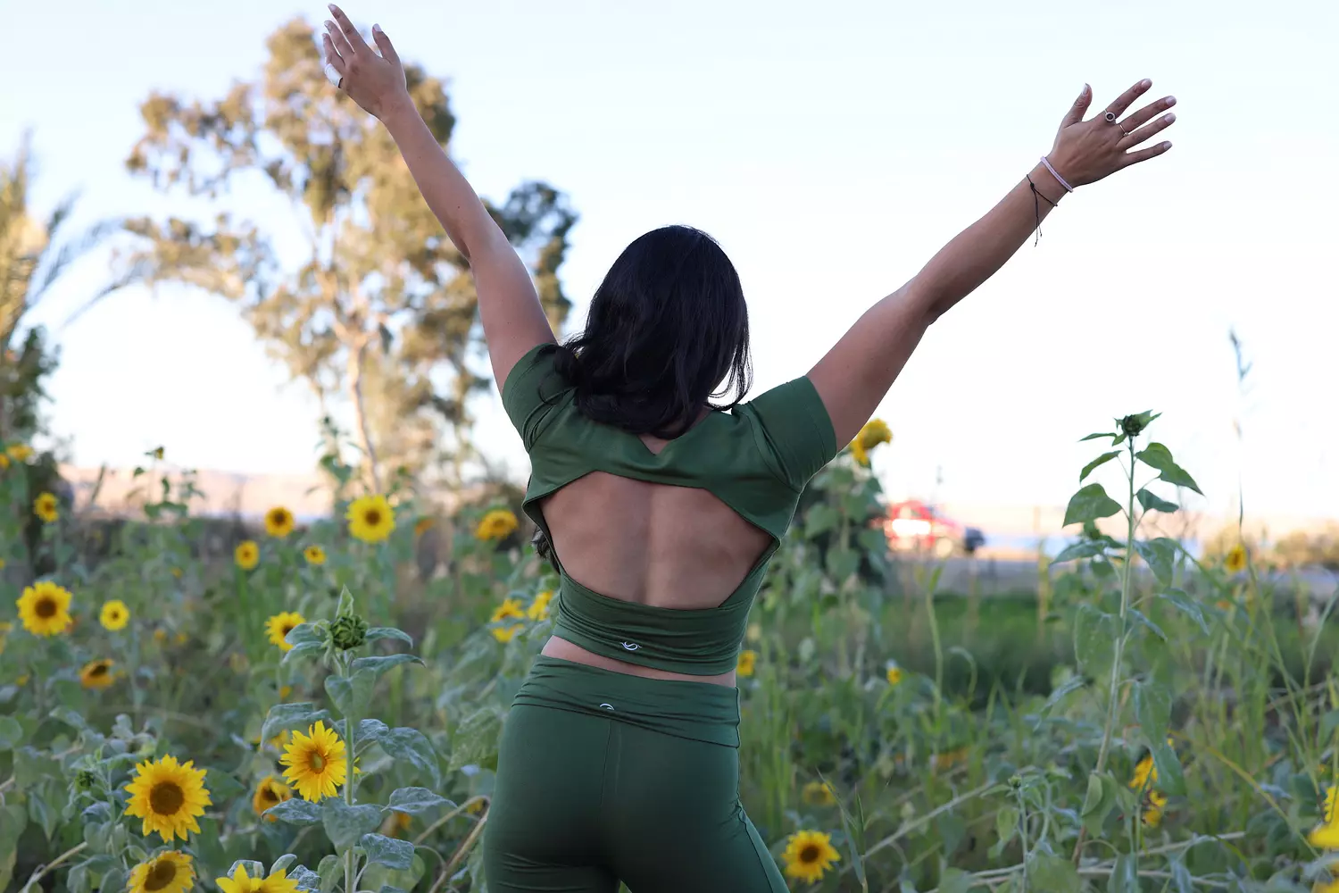 Cactus Backless Top 5