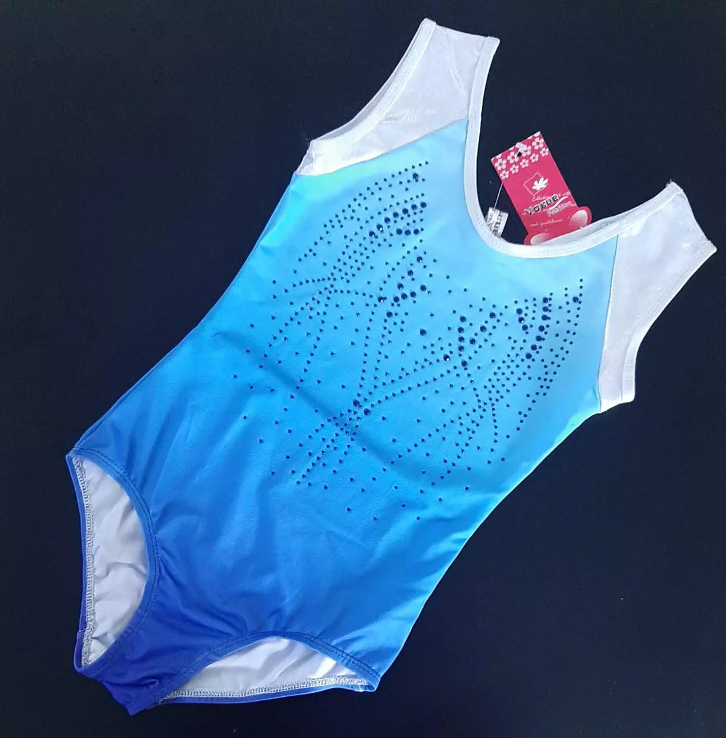 Graded Blue Leotard with Rhinestones hover image