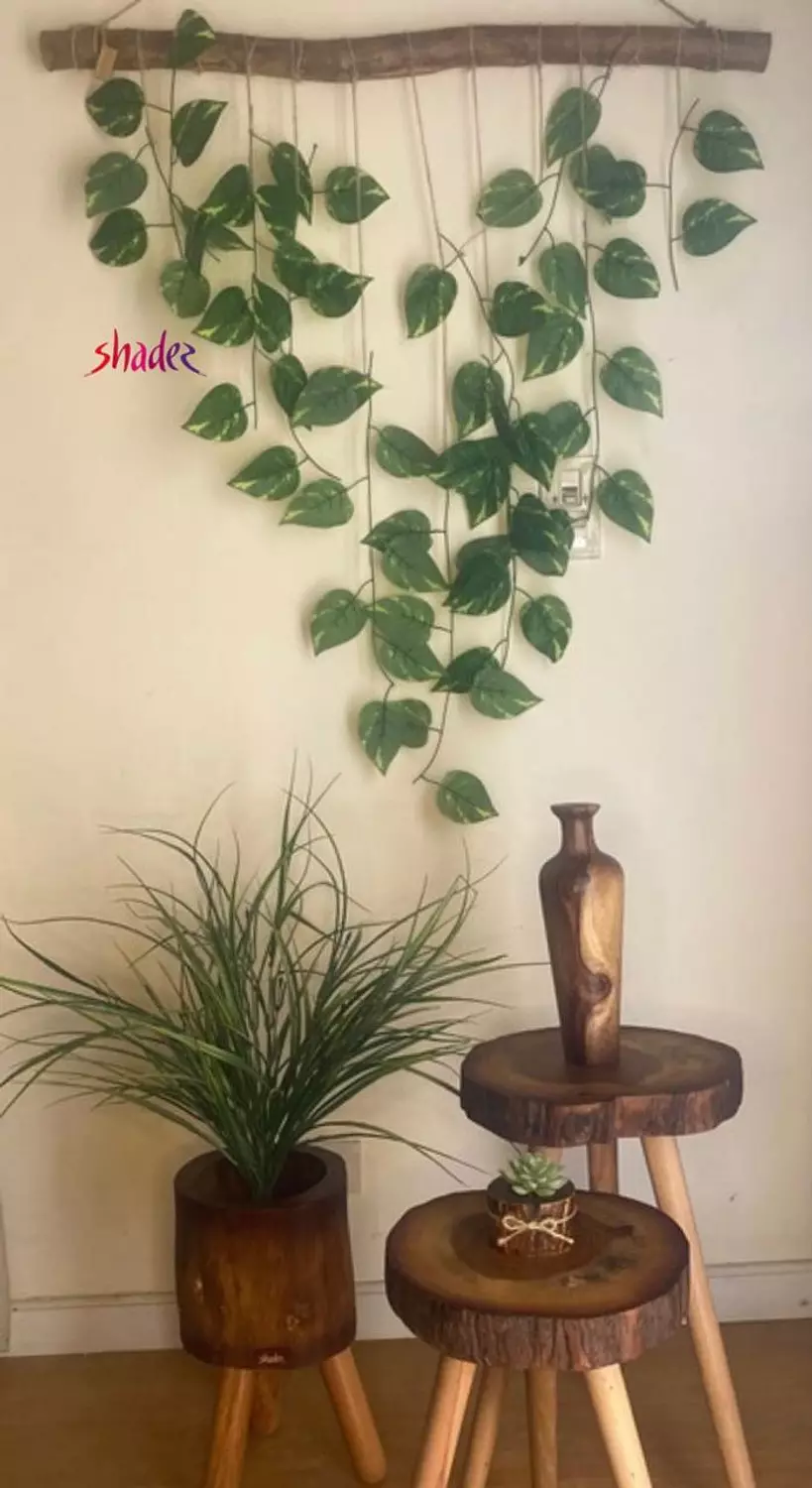 Wall plant hanger 3