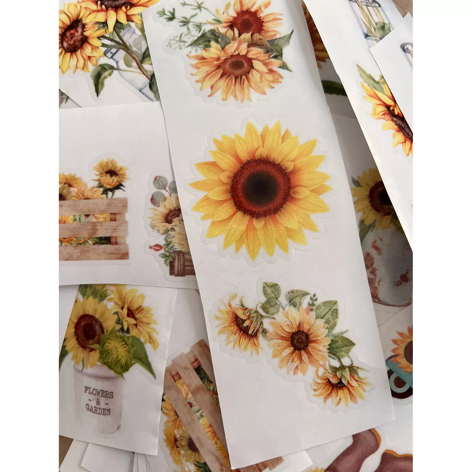 Sunflowers Pack | Transparent Stickers  6