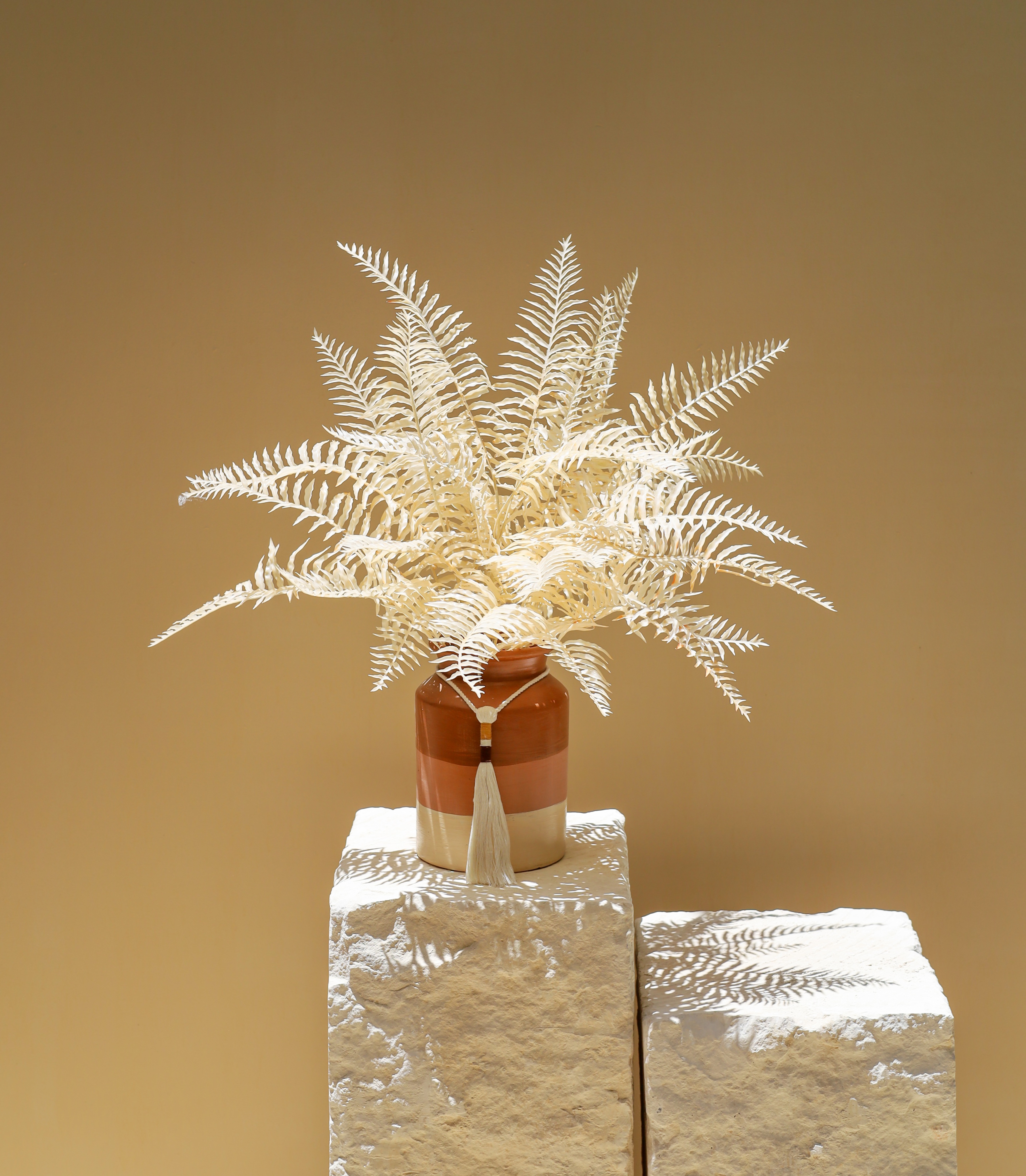 White Fern