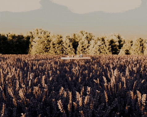 banner image for Lavender Label