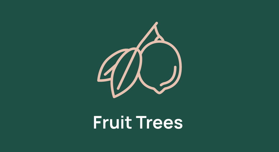 Fruit Trees Img