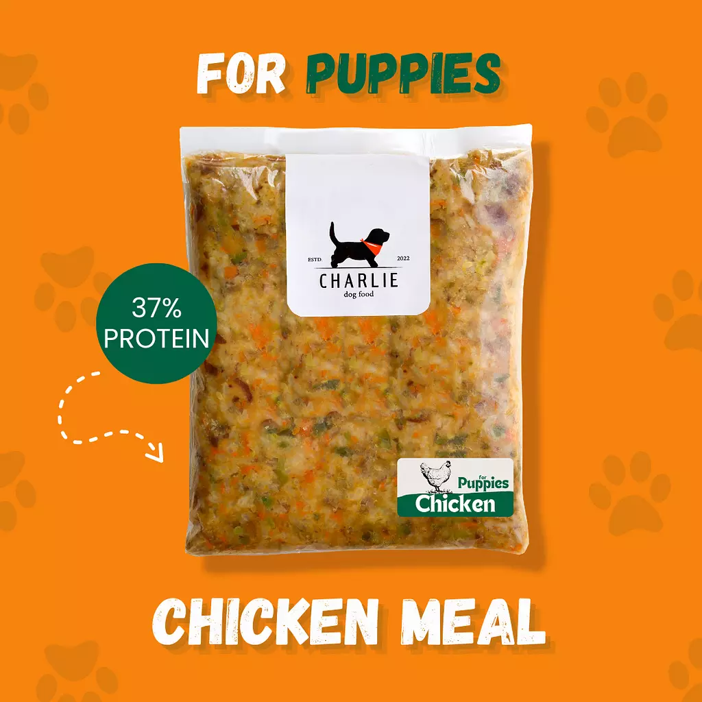 Puppies chicken meal