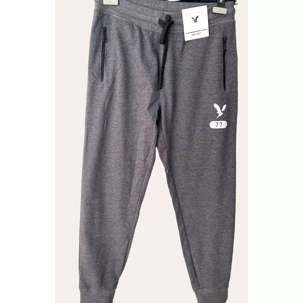 American Eagle SweatPants Grey