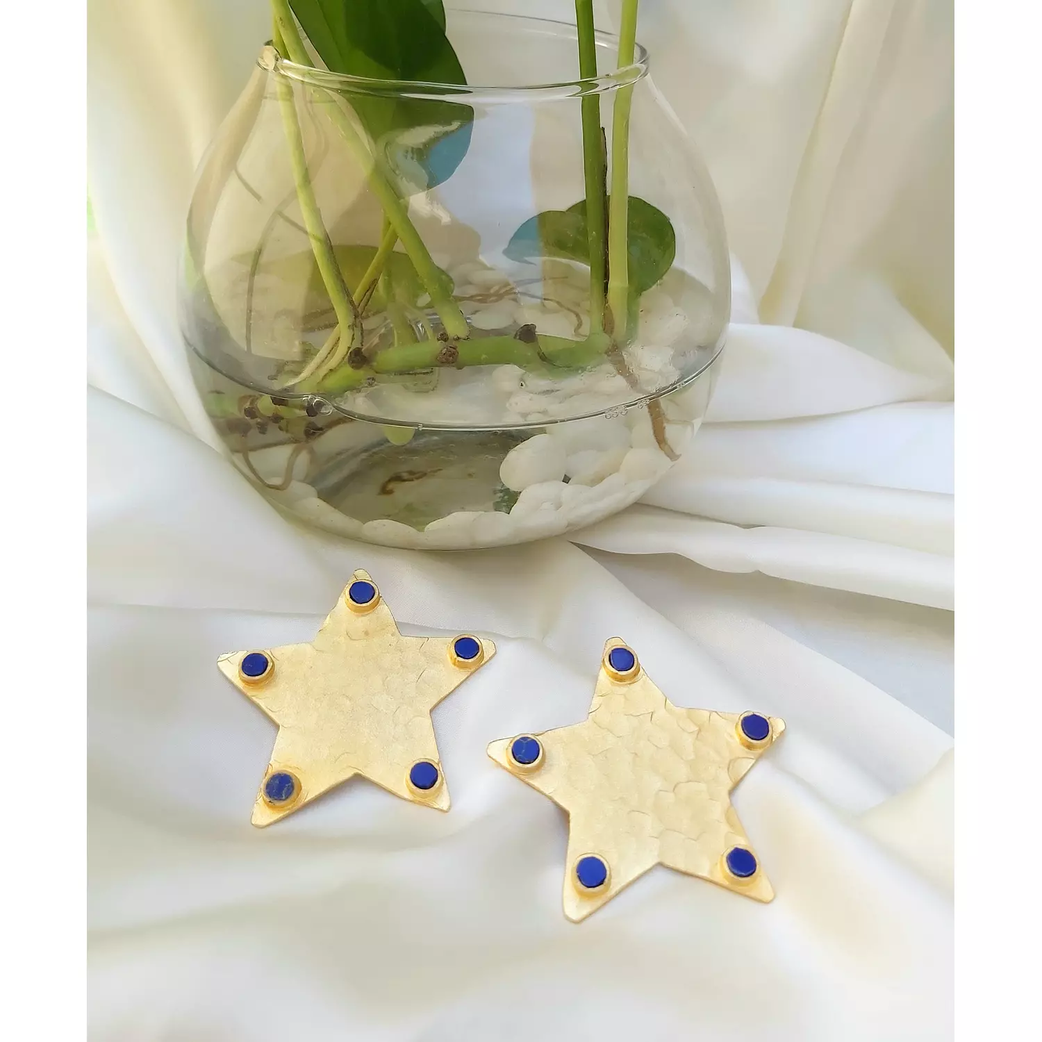 Blue star fish  hover image