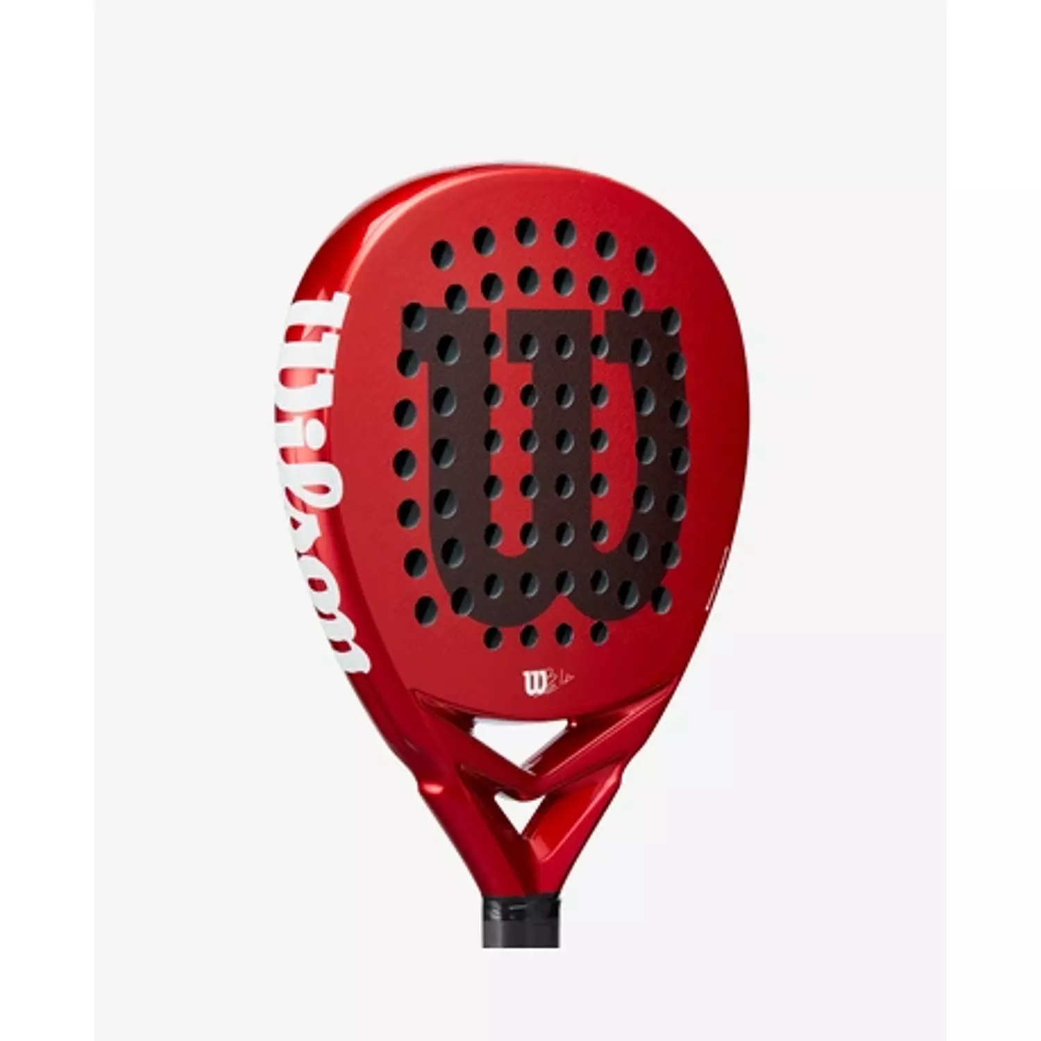 Wilson Bela Elite V2.5 2024 2