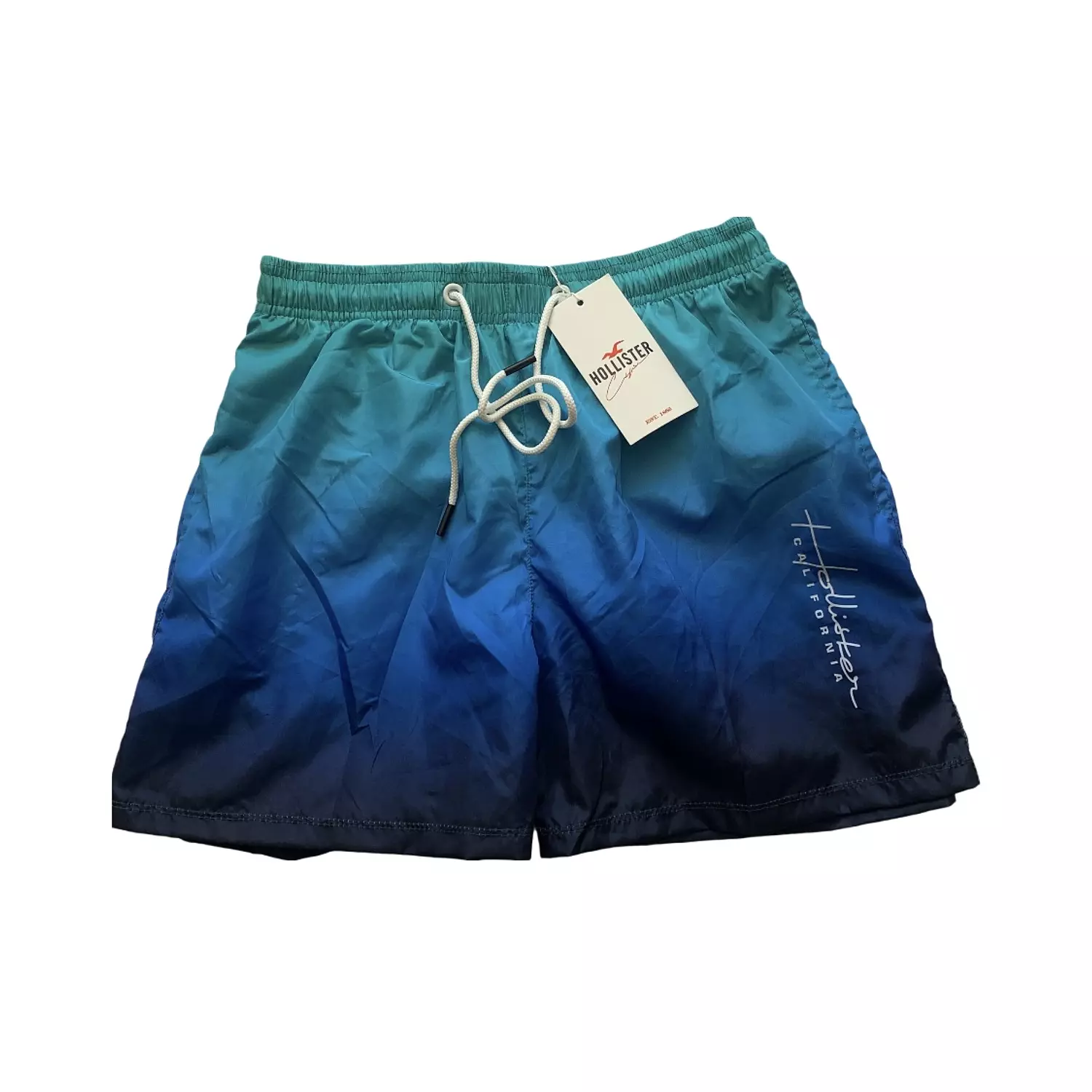 Hollister Swim Short  hover image