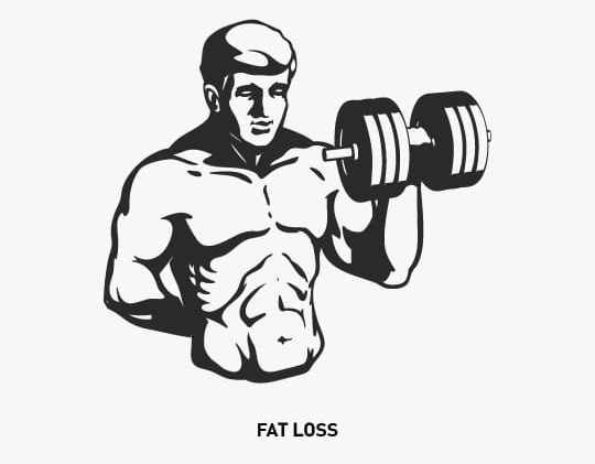 Fat Loss Img