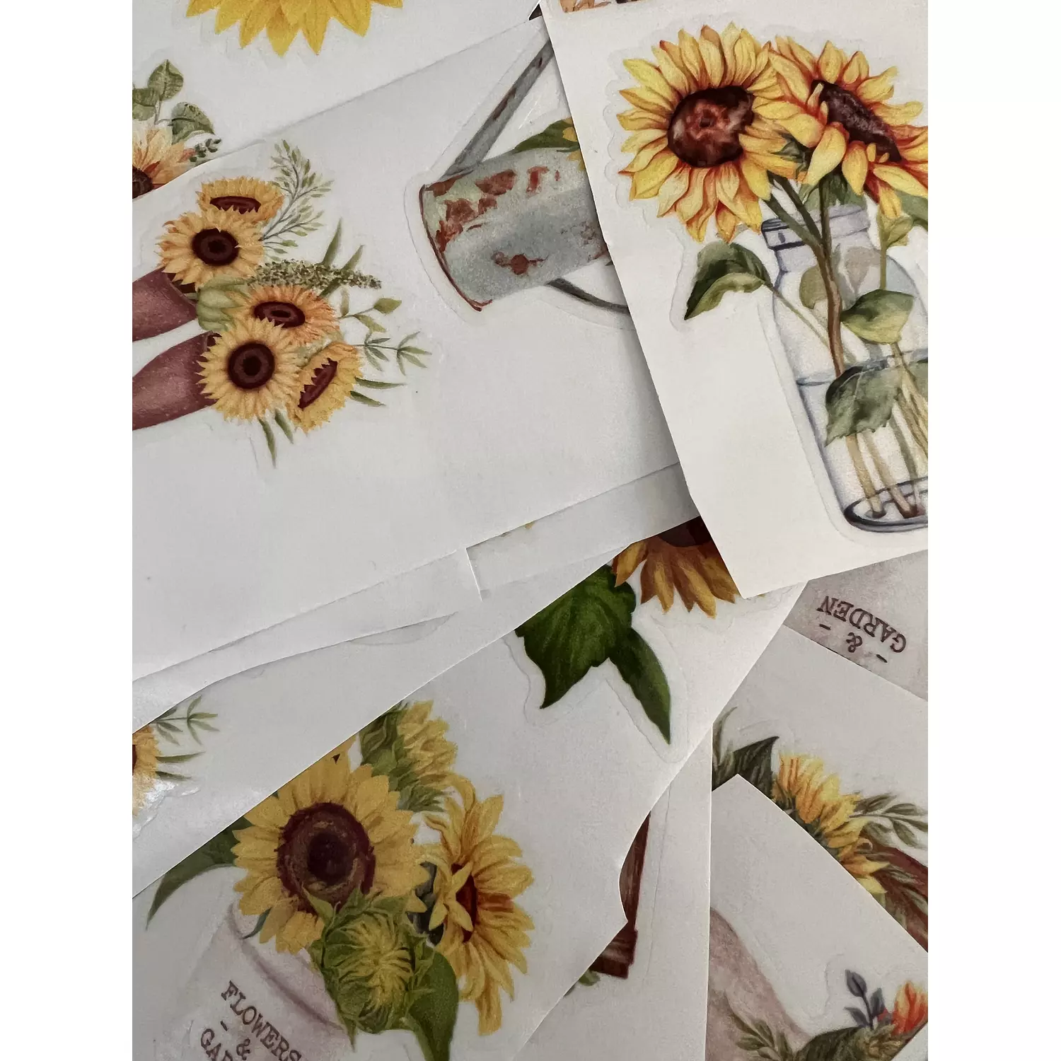 Sunflowers Pack | Transparent Stickers  1