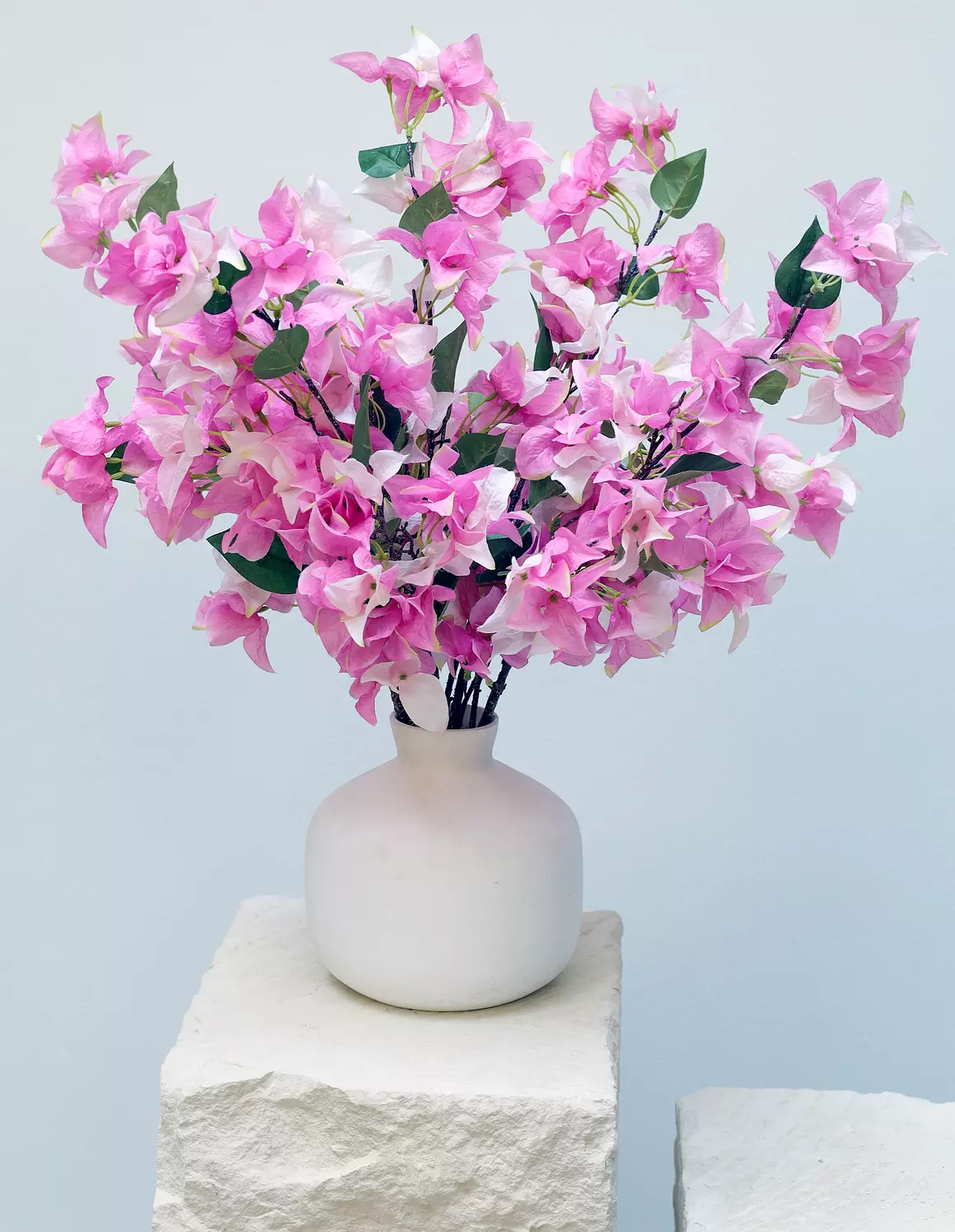Pink Bougainvilleas hover image