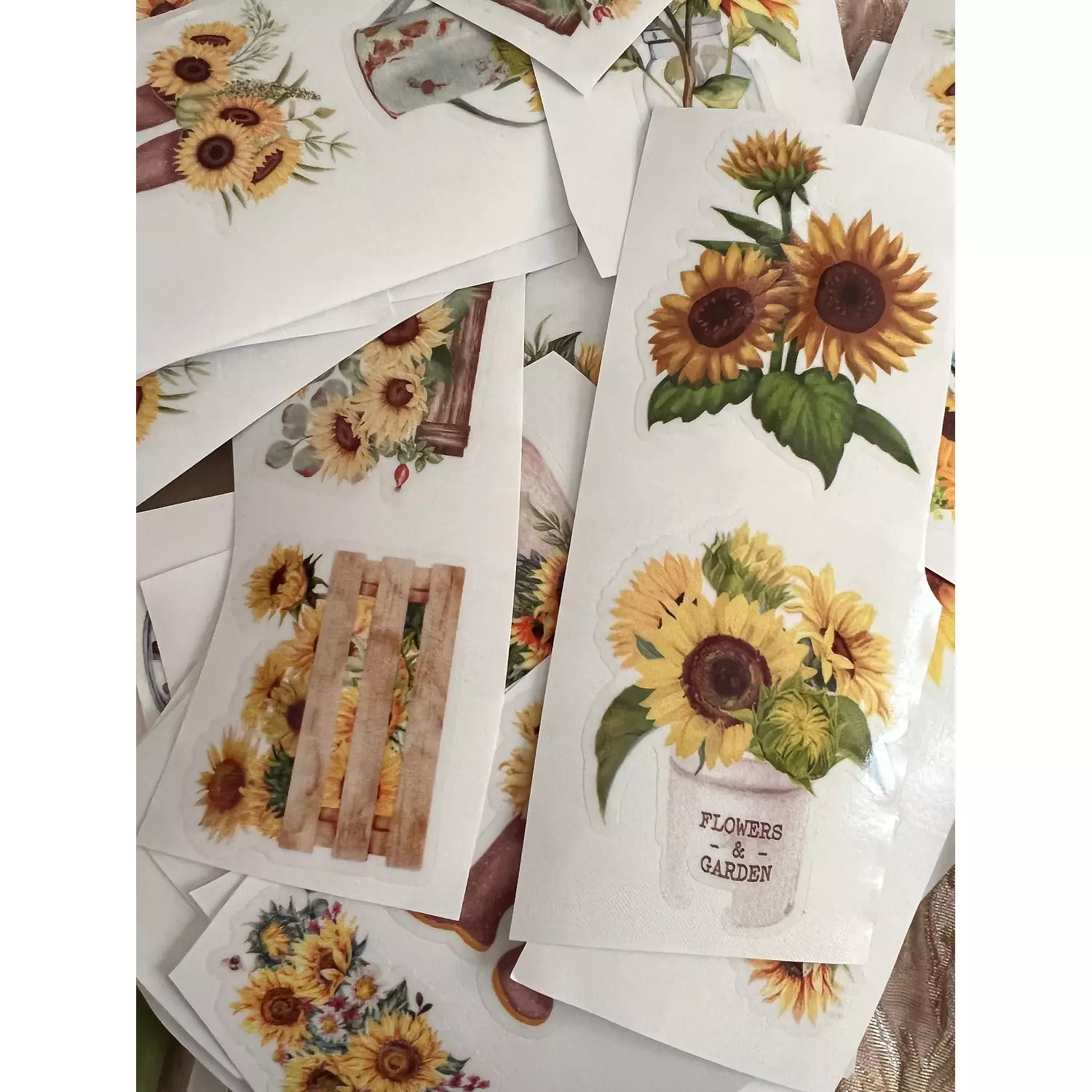 Sunflowers Pack | Transparent Stickers  4