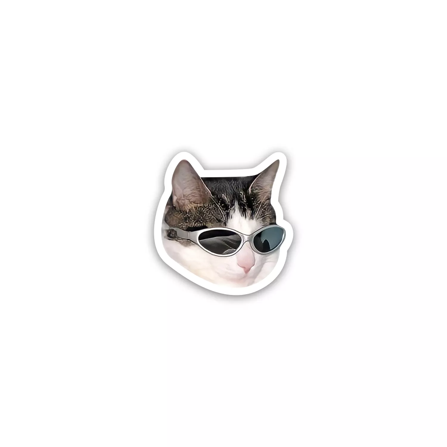 Cat meme hover image