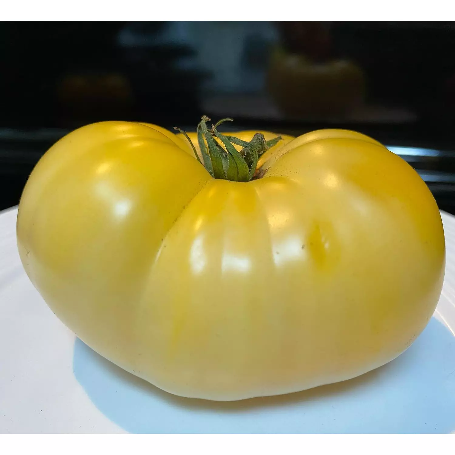 بذور طماطم بيضاء hover image