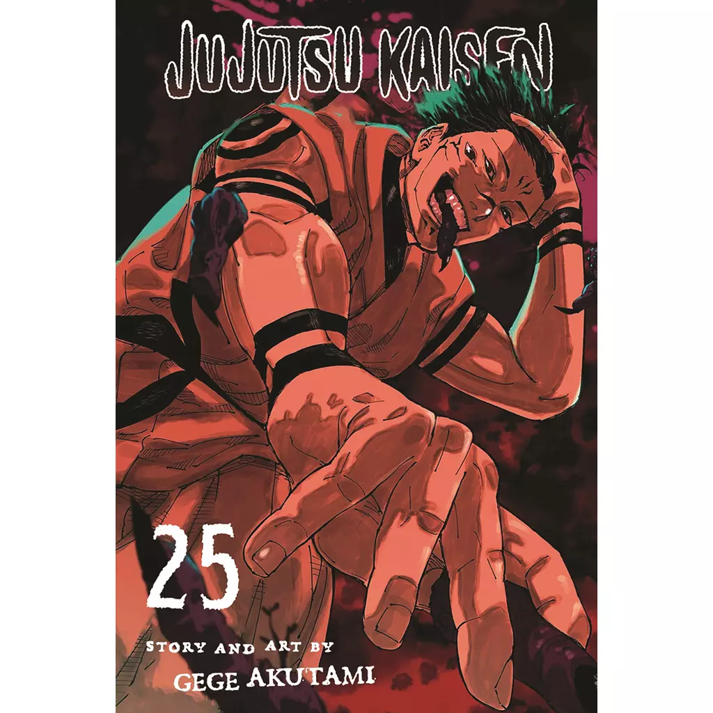 Jujutsu Kaisen 25