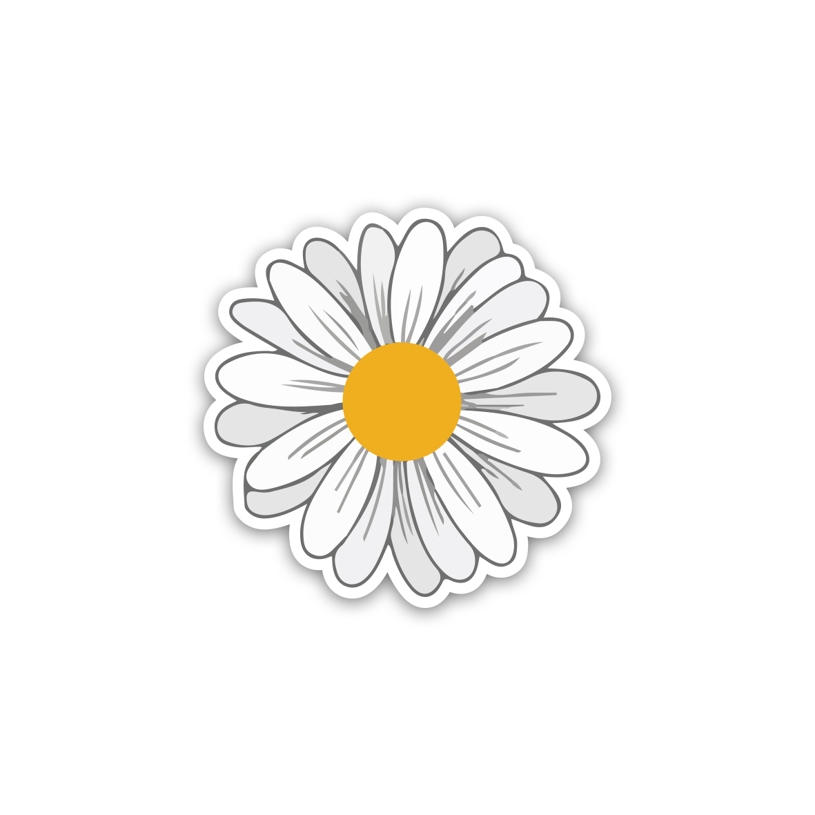 Chamomile - White Flower - Daisy 