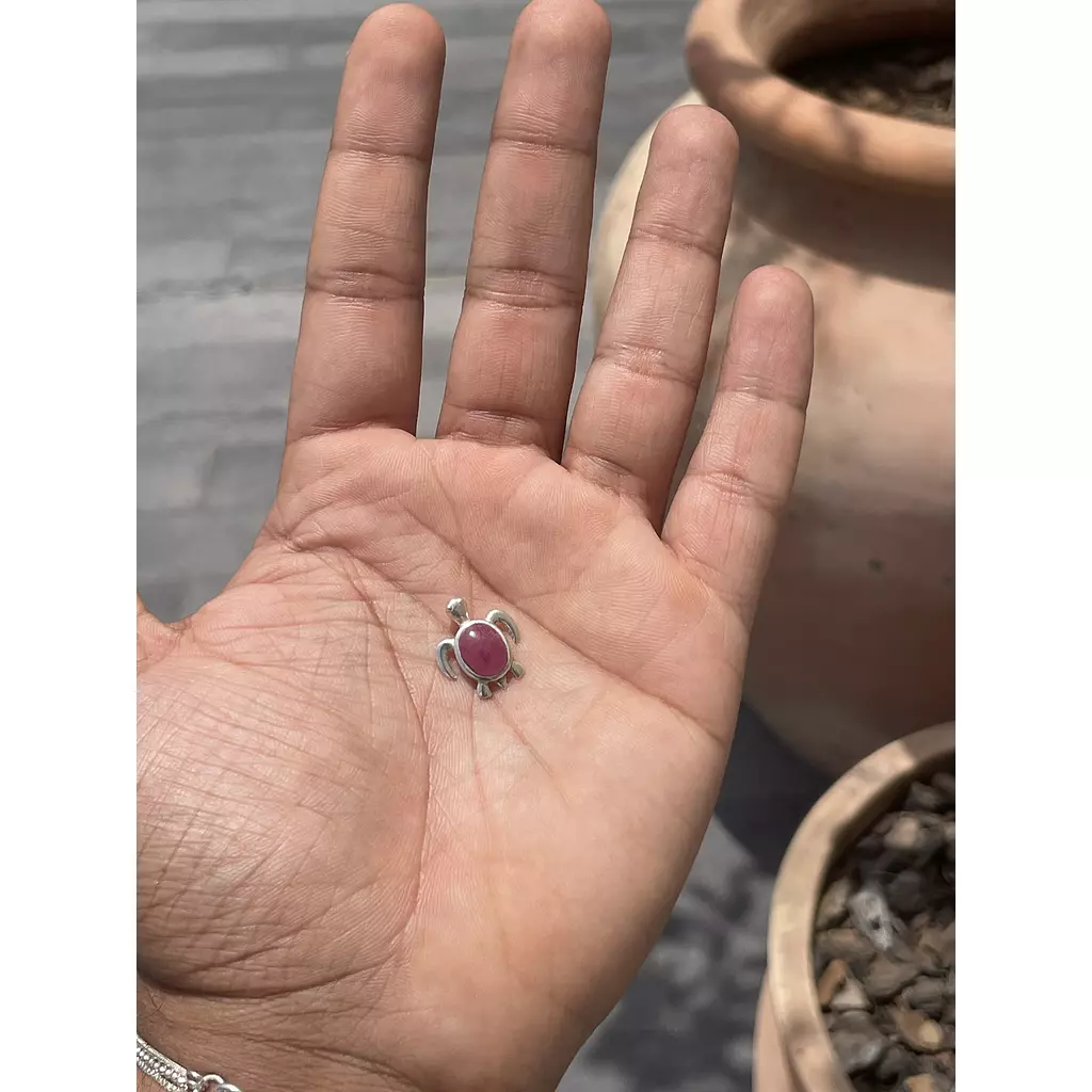 Ruby Mini Turtle 