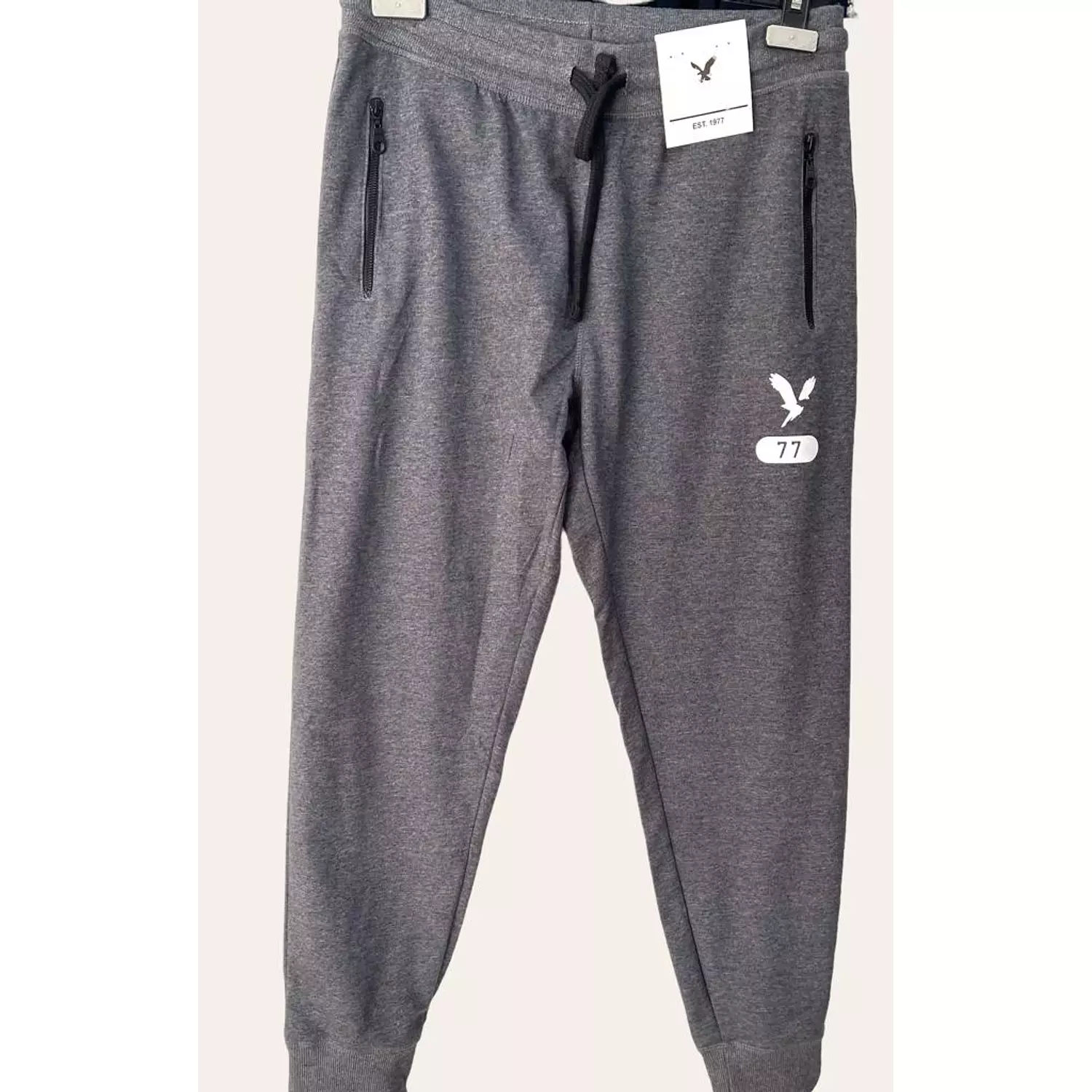 American Eagle SweatPants Grey hover image