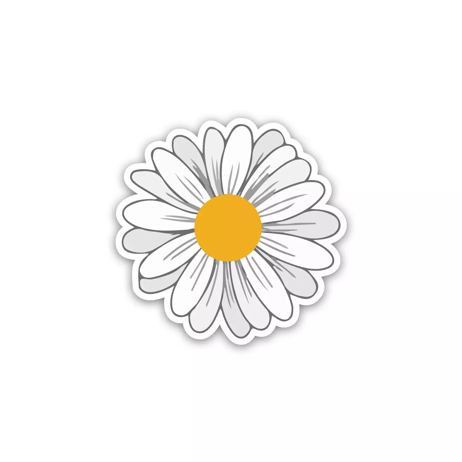 Chamomile - White Flower - Daisy  hover image