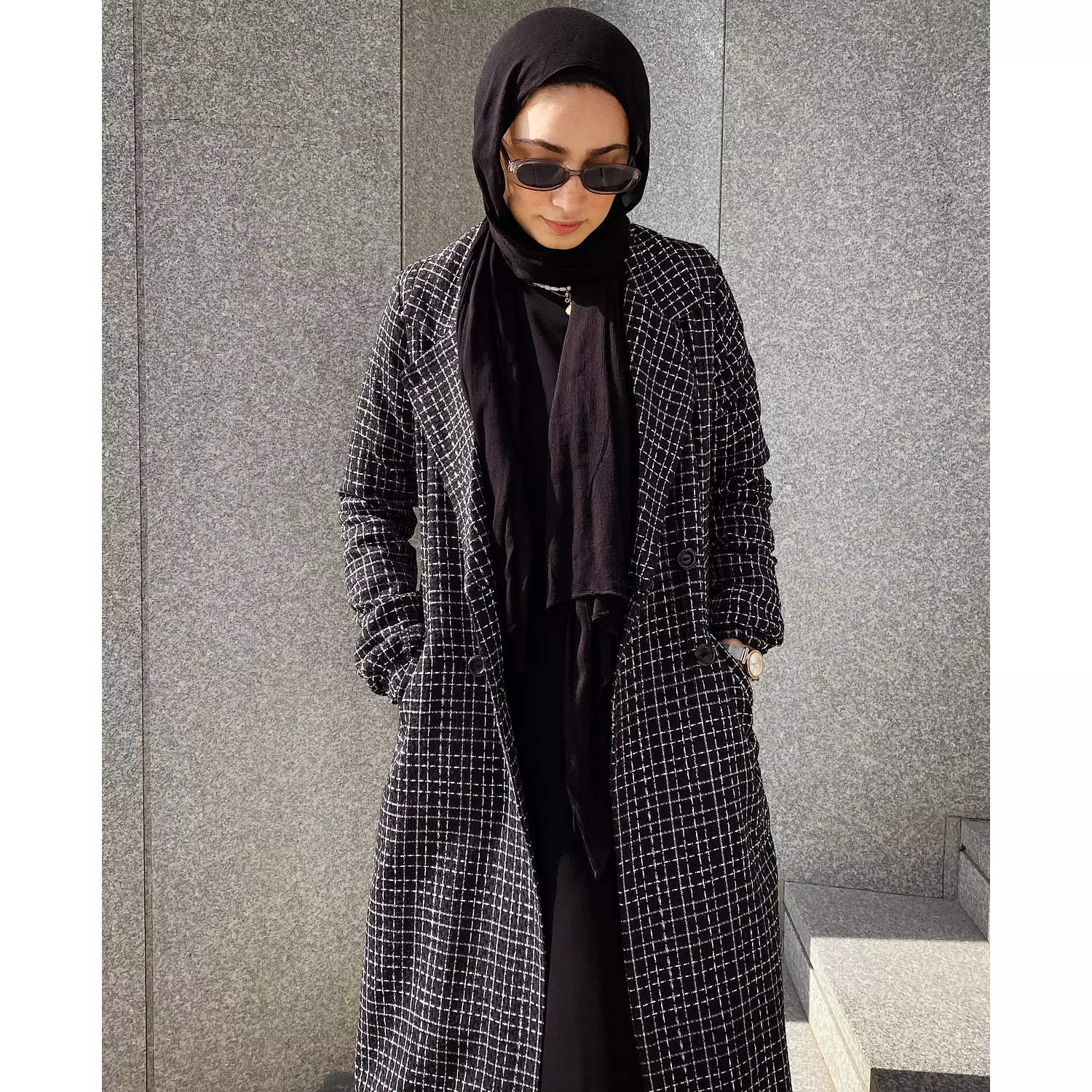 The Checkered Coat 3