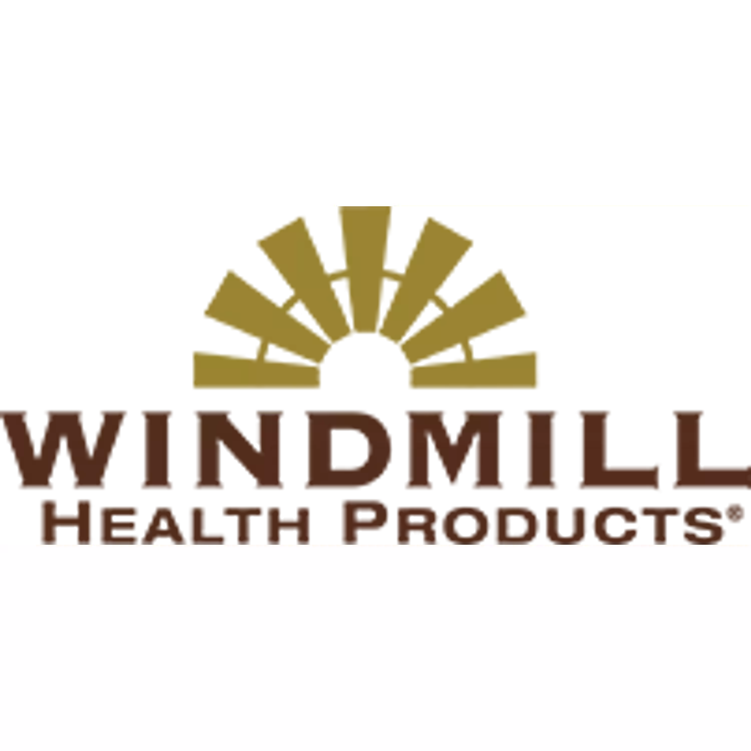 Windmill Vitamin C-1000 100 Tablets 2