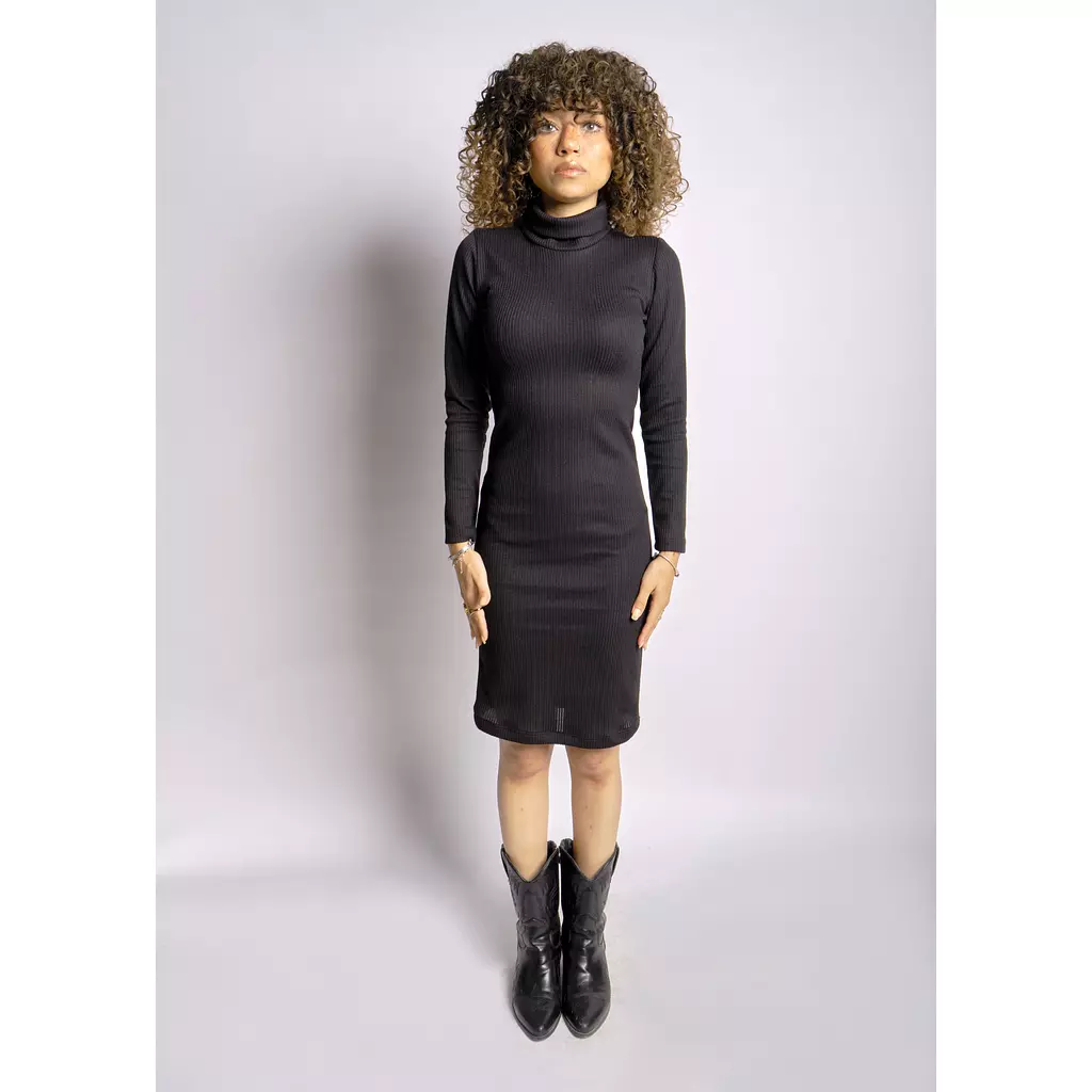 High Neck Ribbed trico Midi Dress