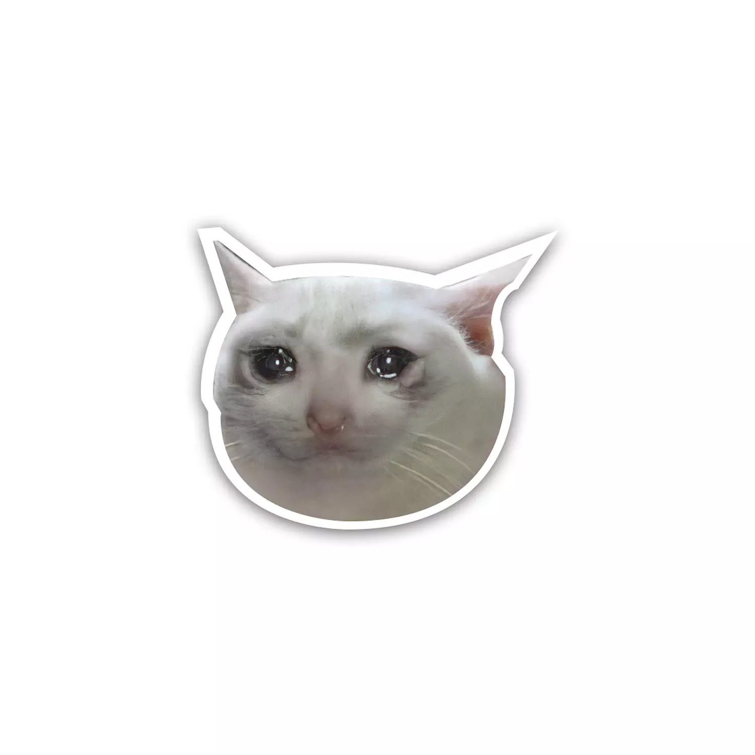 Crying Cat hover image