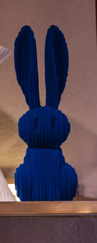 Blue bunny 