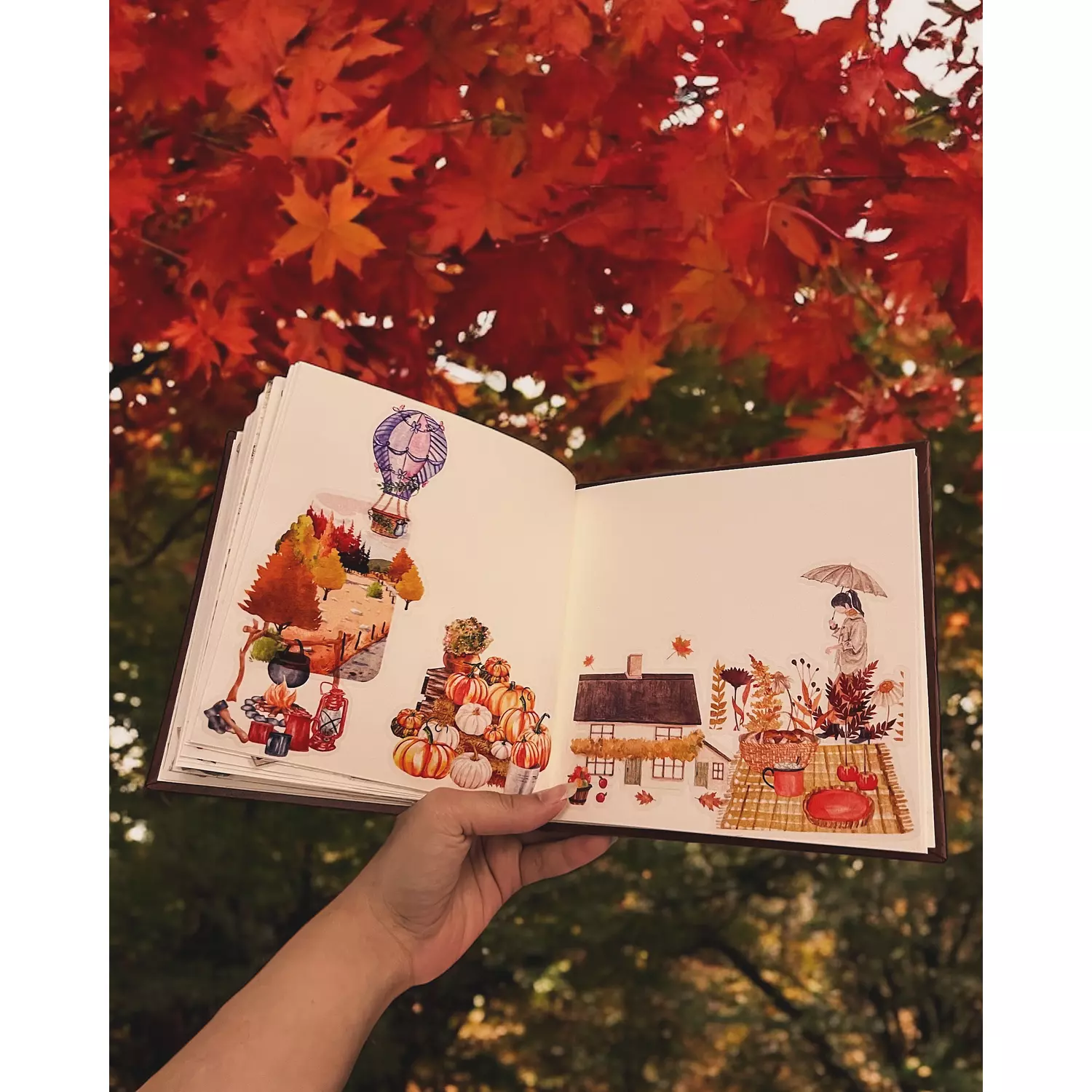 Limited Edition | Autumn Stickers Pack hover image