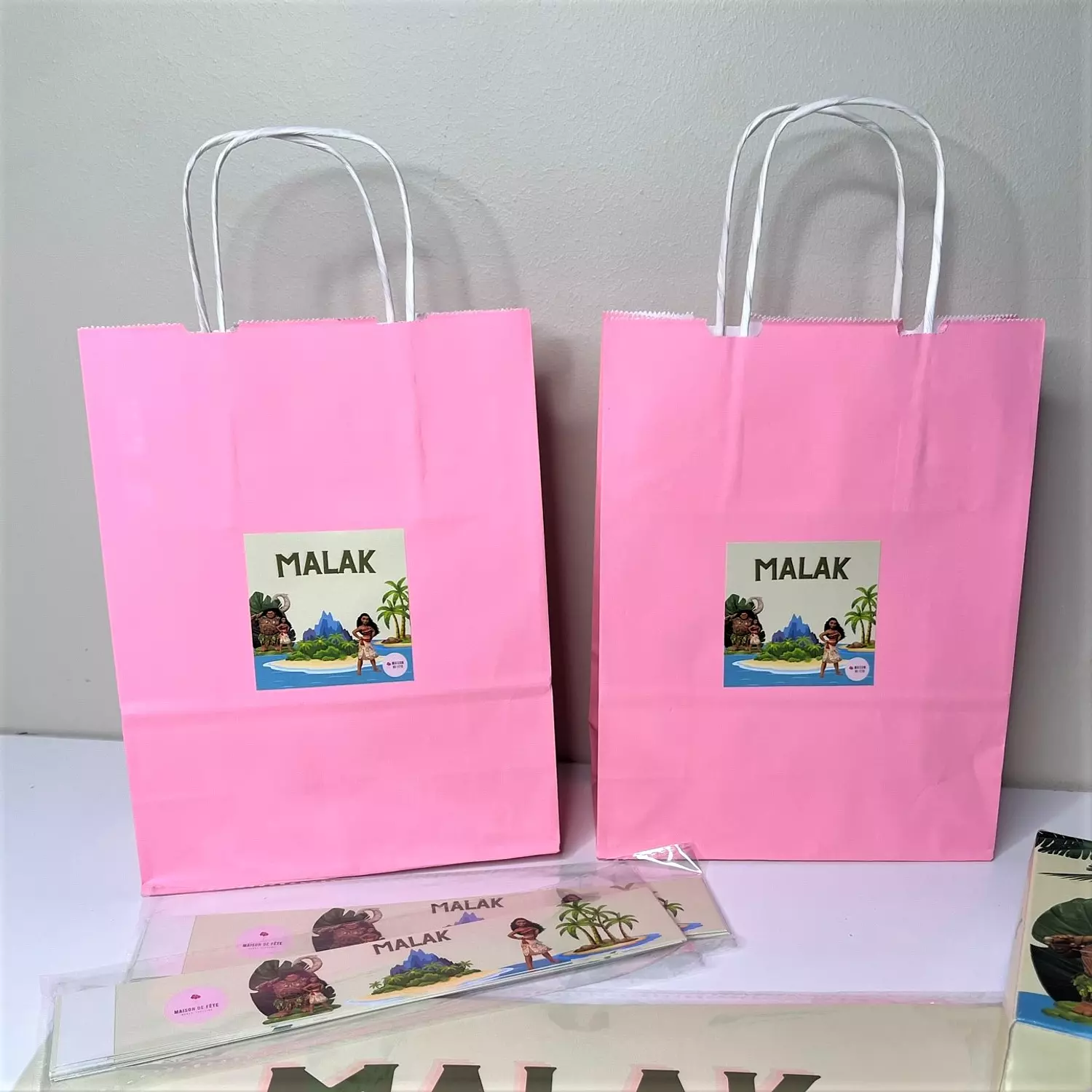 Paper Giveaway Bags 12