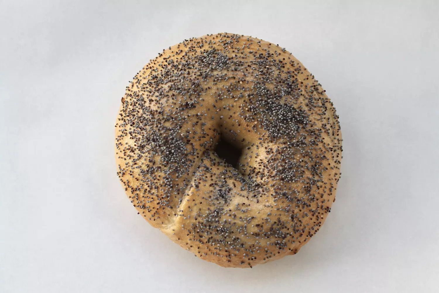 Poppy Seed Bagel 3