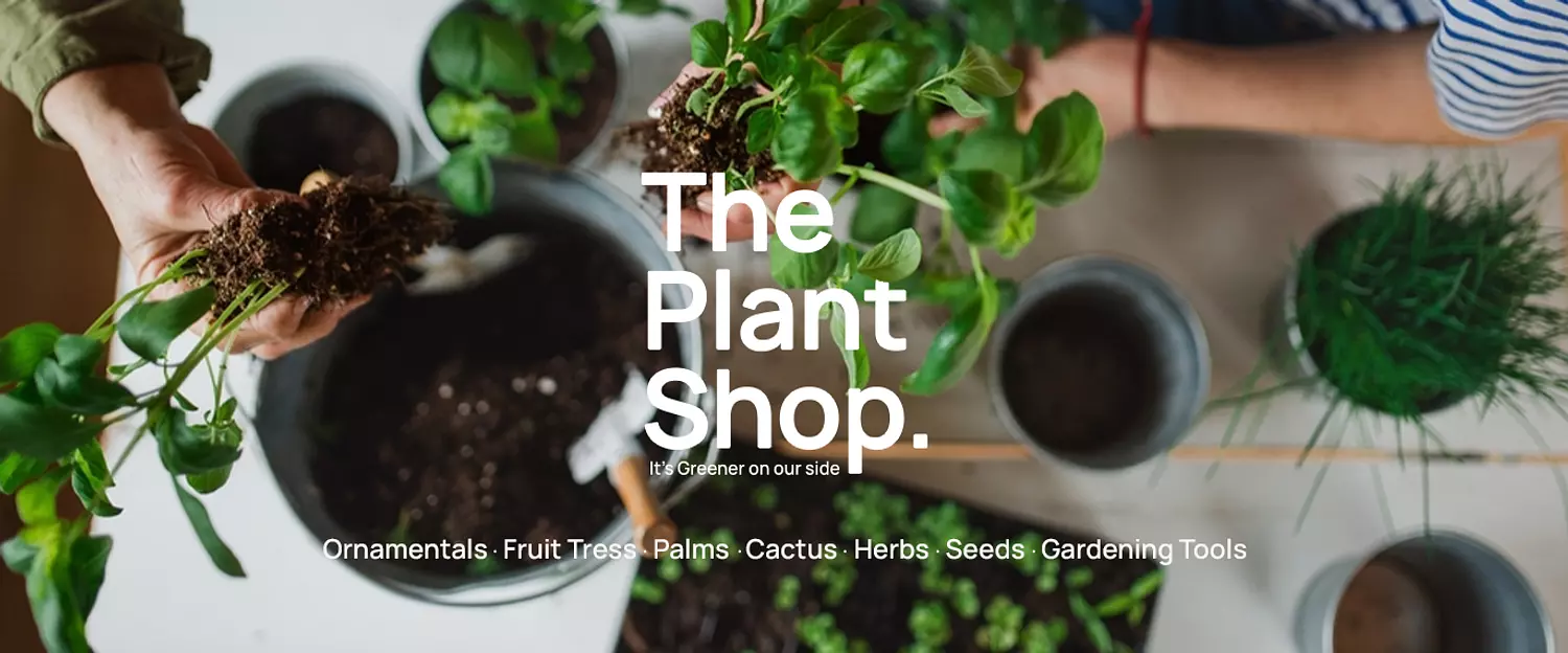 banner image for ThePlantShop