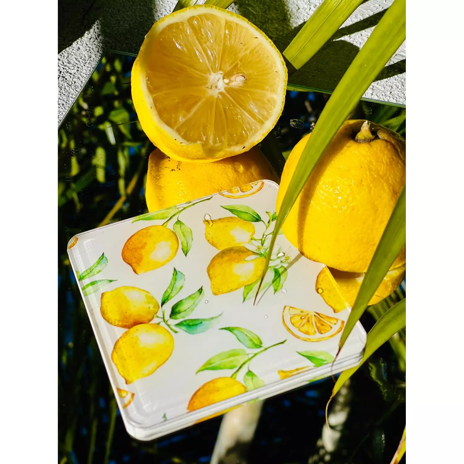 The Lemon Pattern Coaster Set  1