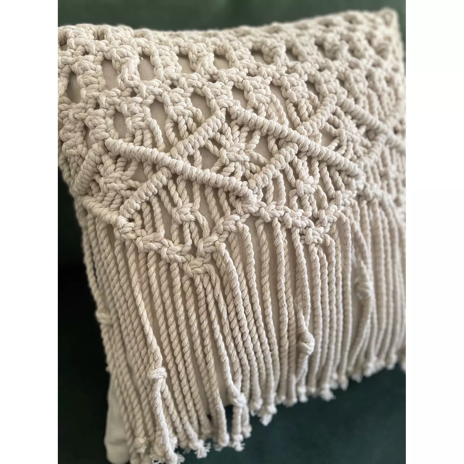 Little Daisy  Cotton Macrame Cushion   2