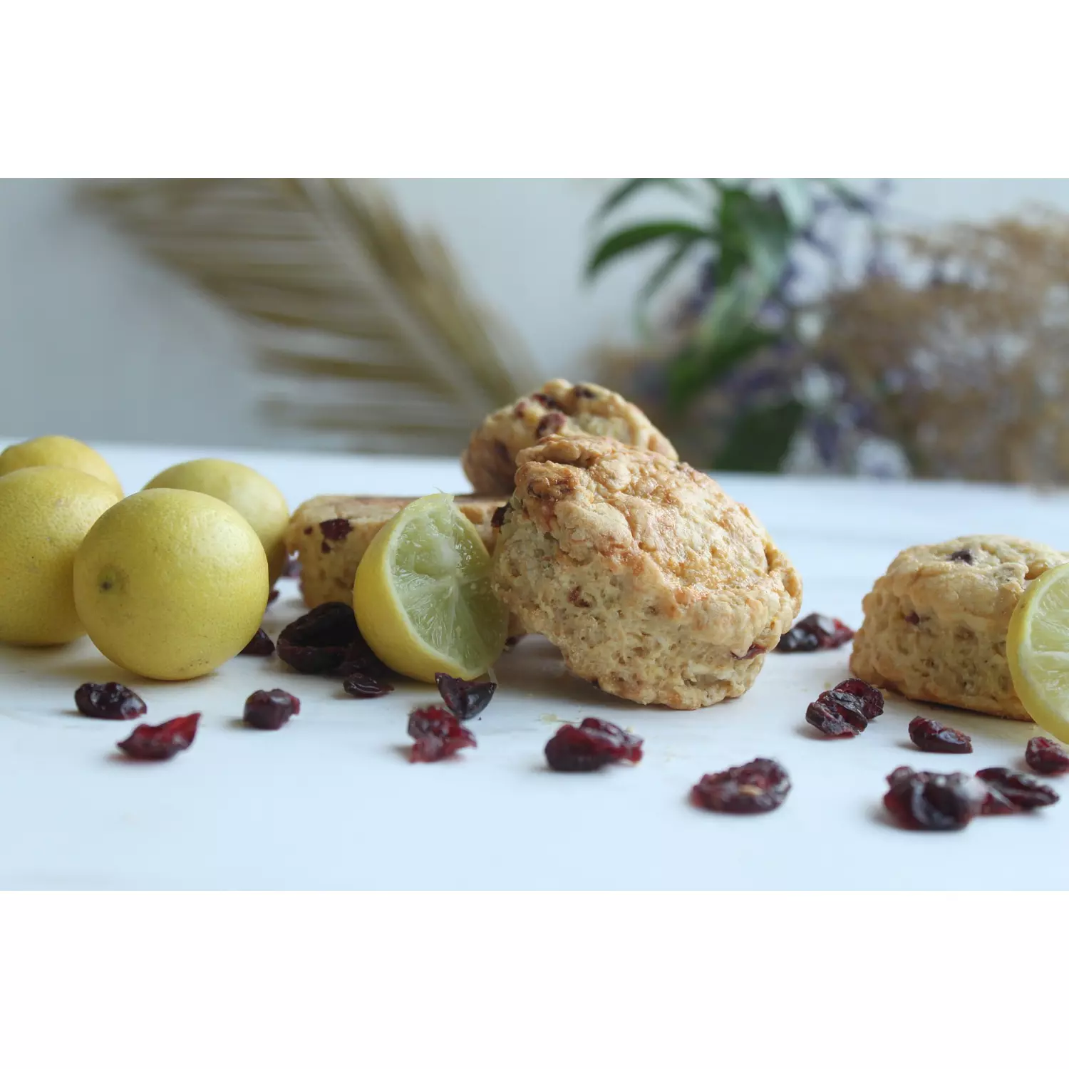 Cranberry Lemon Scones 10