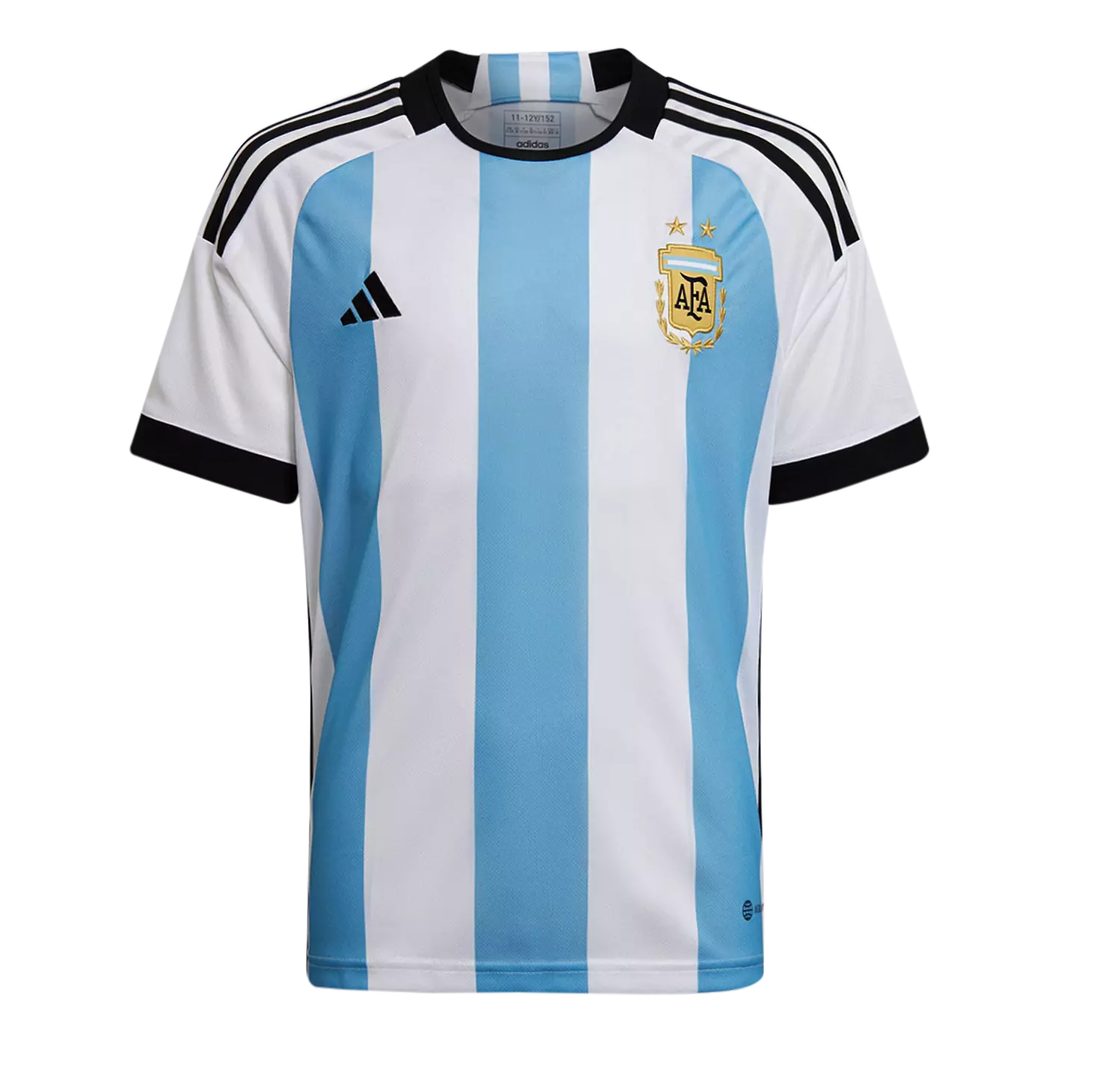 ARGENTINA WORLD CUP 22 - FANS 0