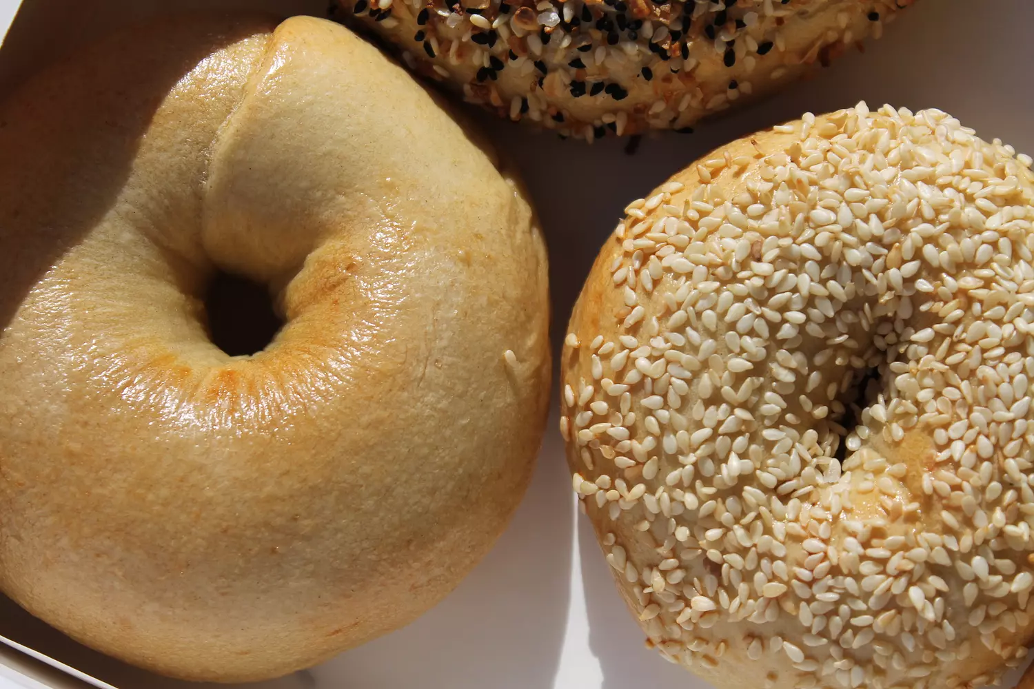 Plain Bagel 2