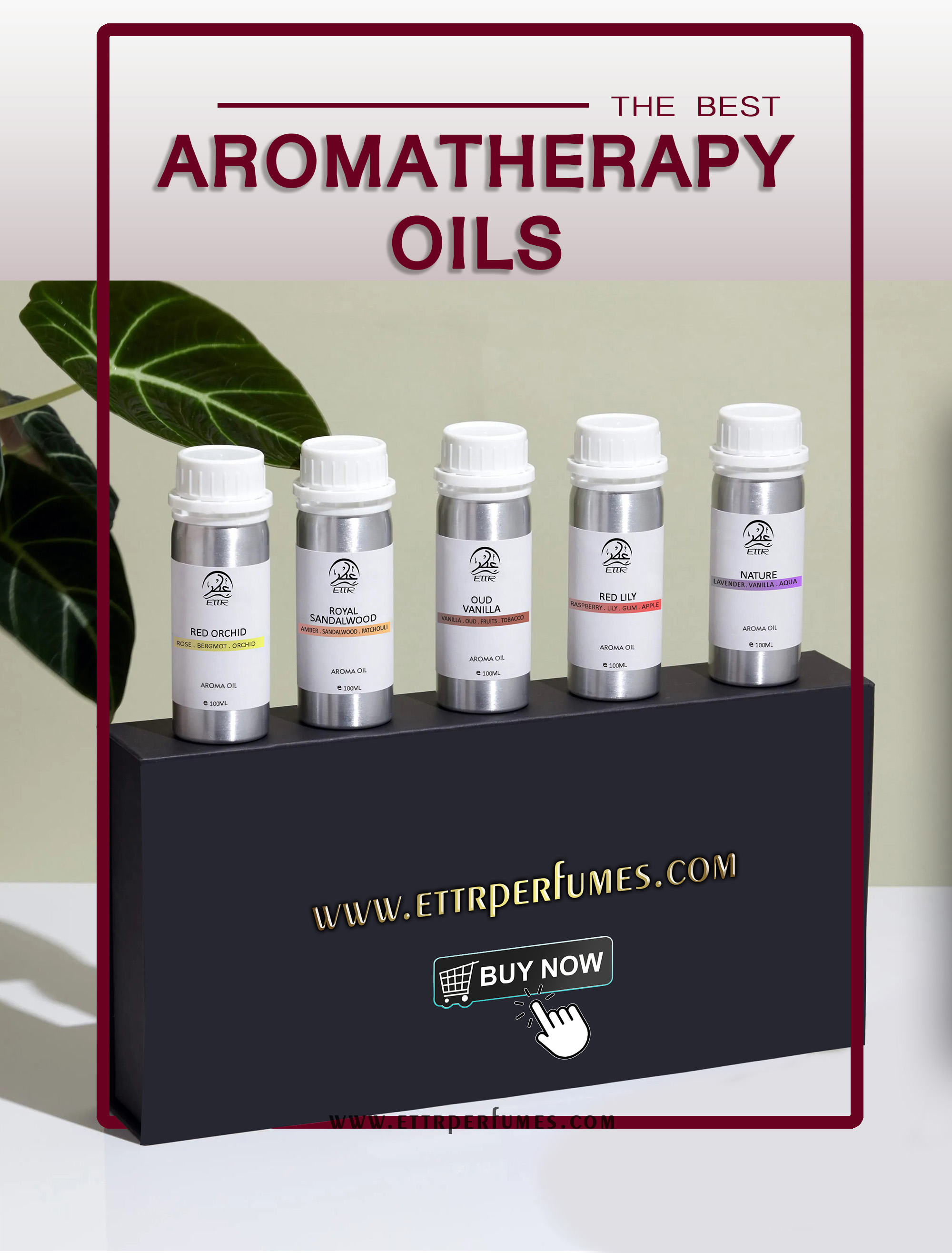<p>SHOP NOW</p>