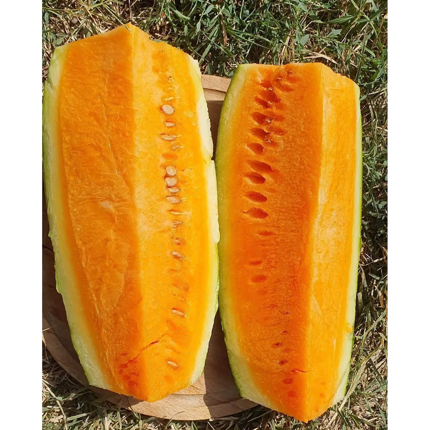 Orange Watermelon seeds  2