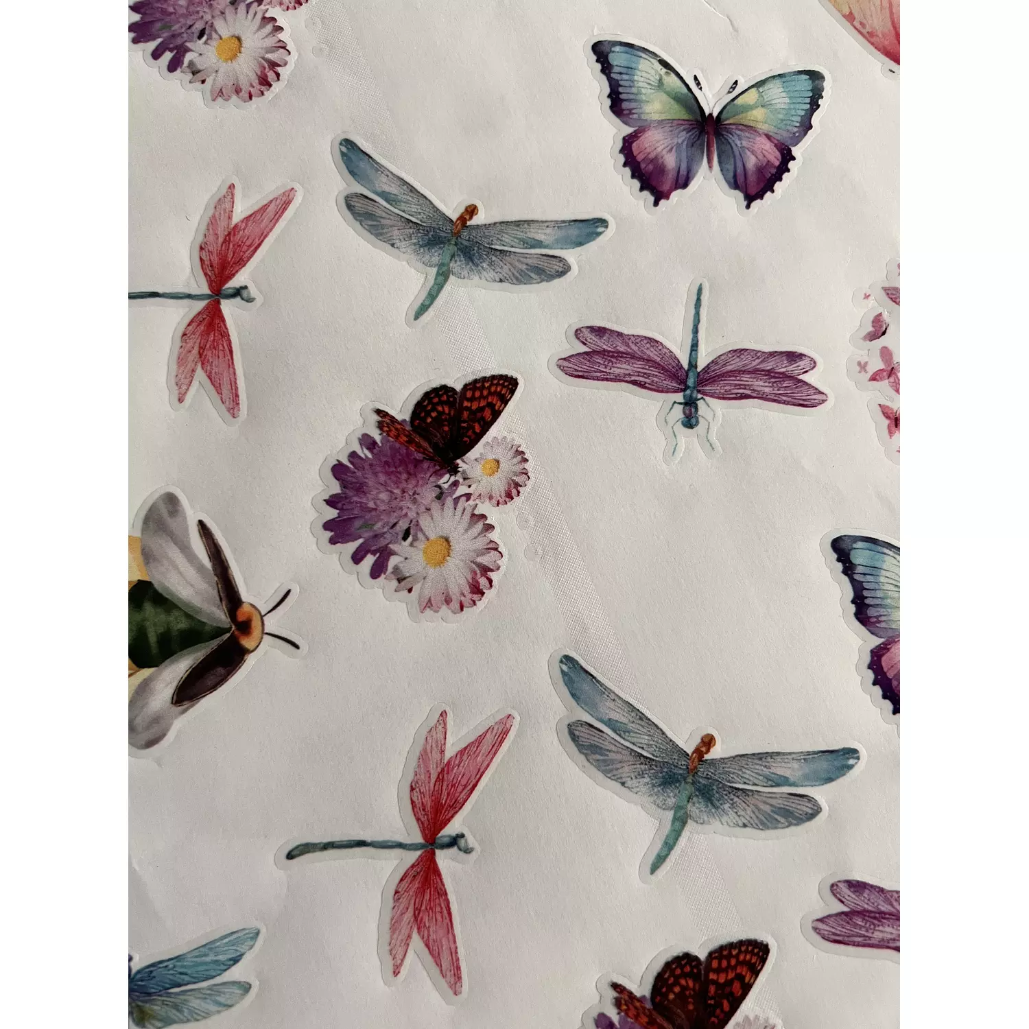 Dragonflies and Butterflies Stickers Pack 2