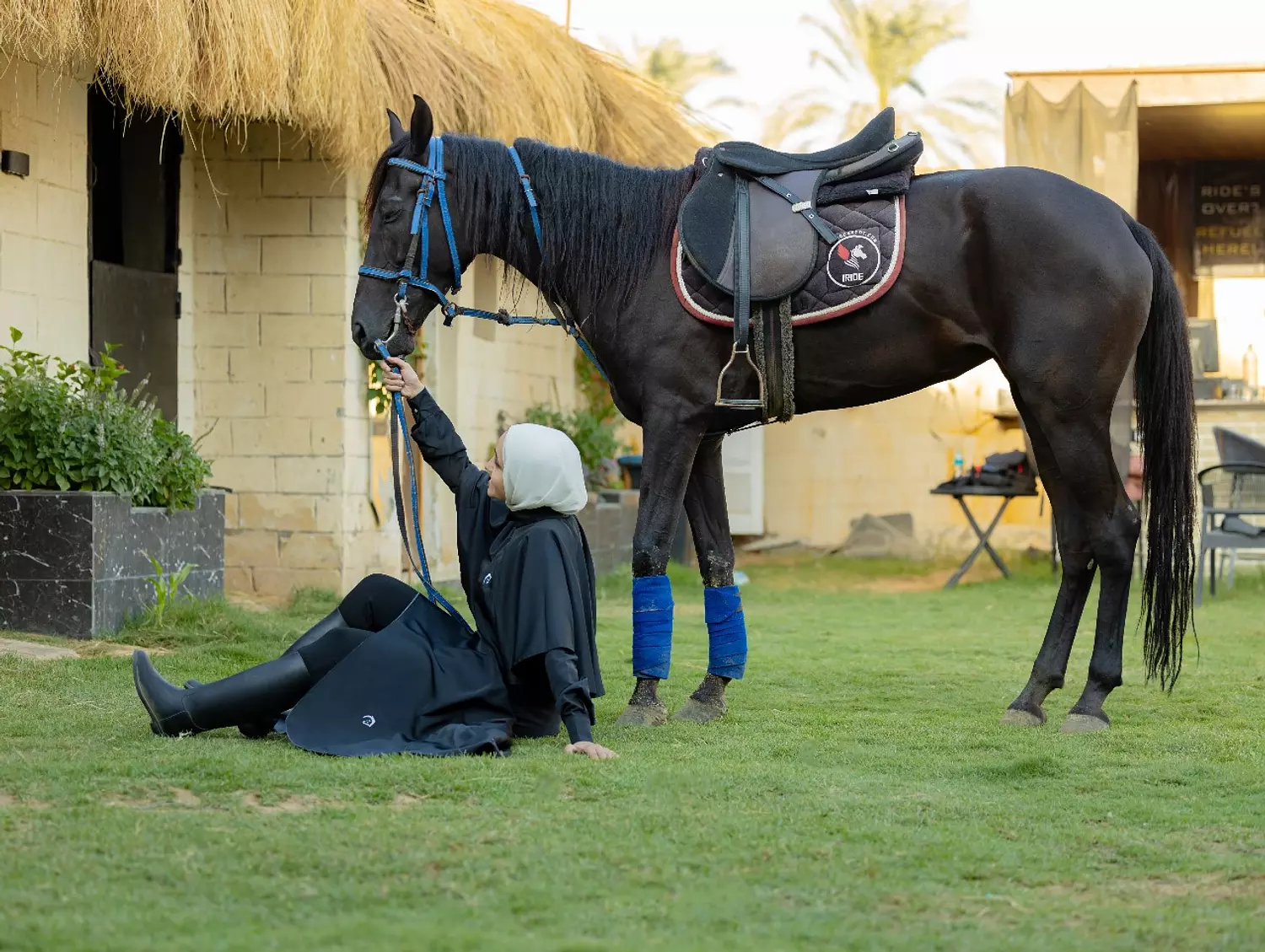 banner image for Hajar Salama equestrian wear