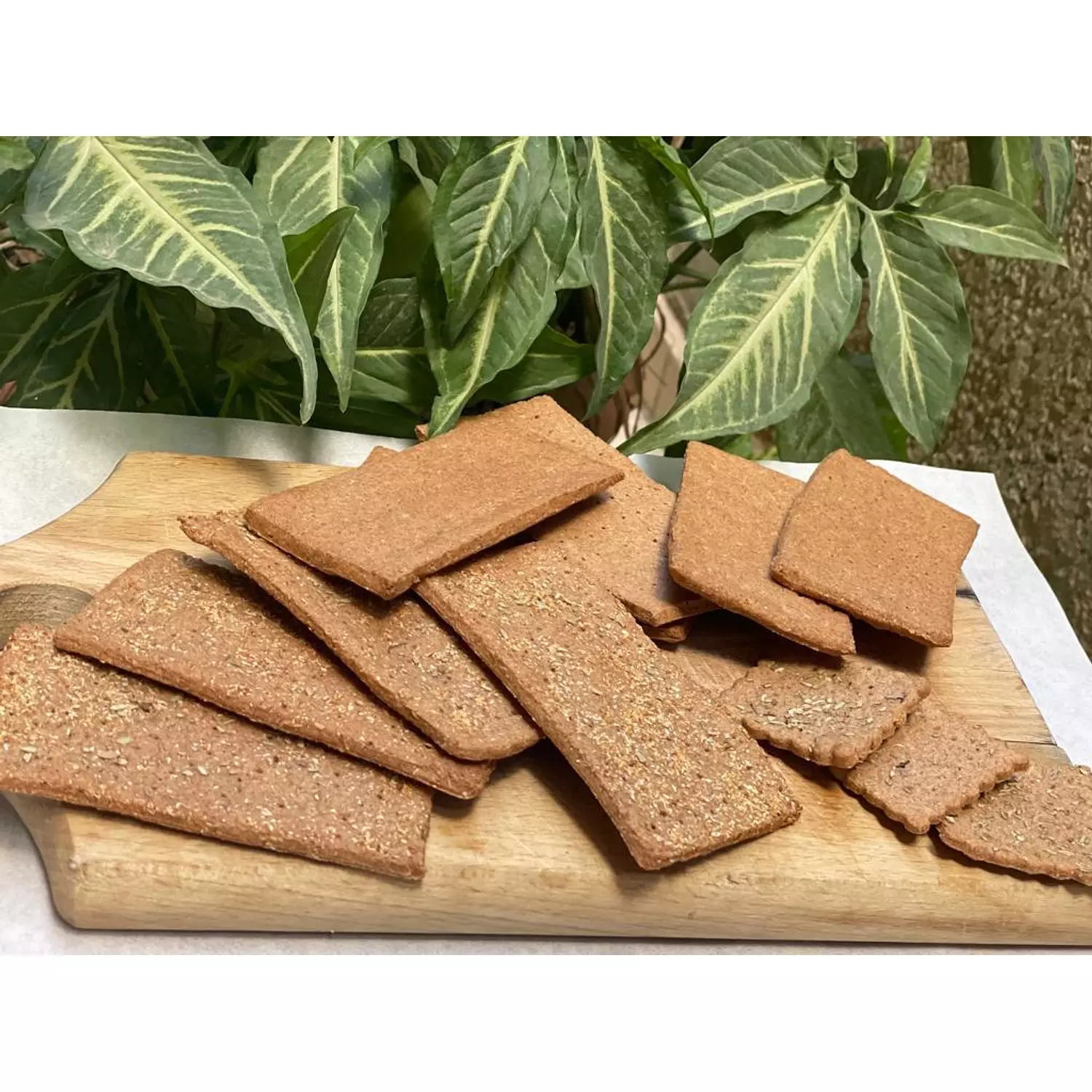 100% Organic Rye Crackers (10g each-Pack of 10)  hover image