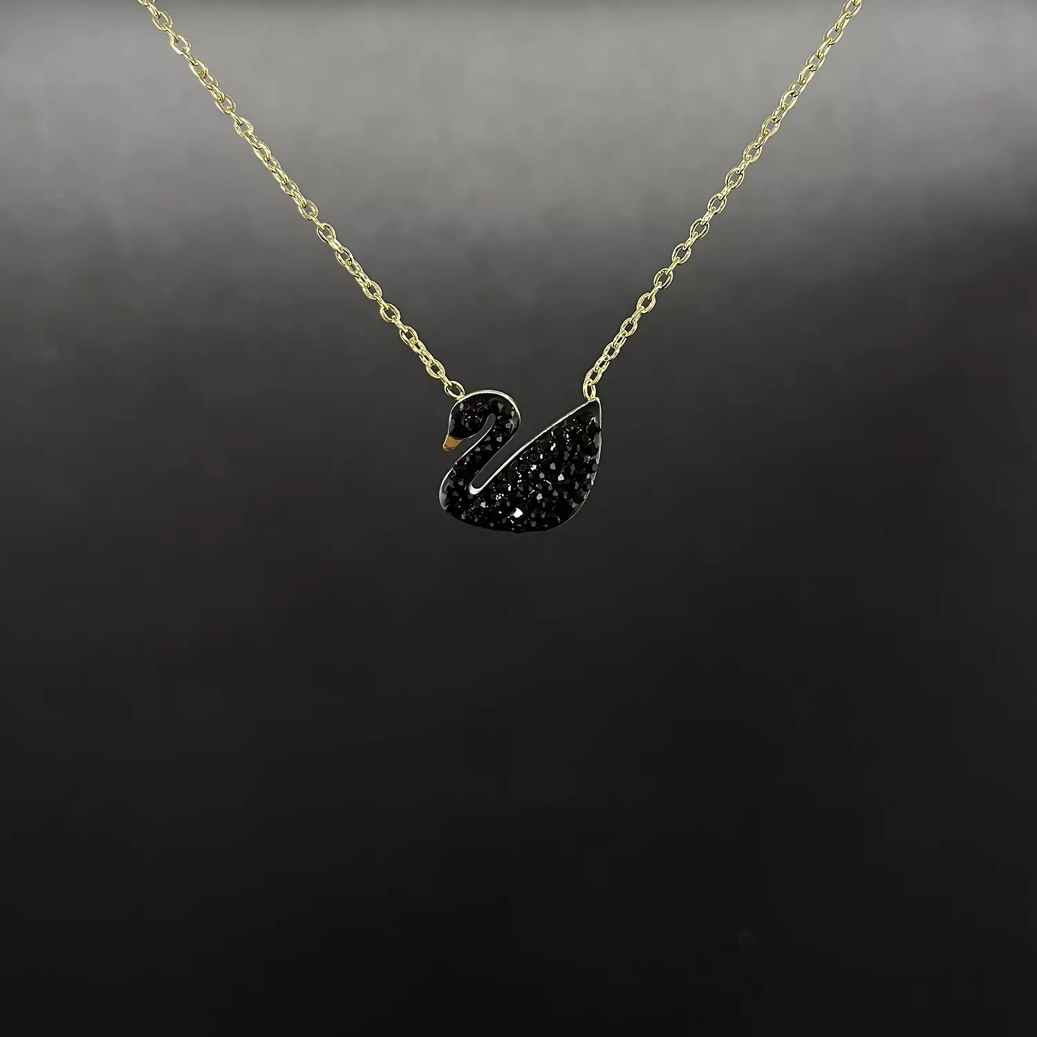 Linked Chain + Black Duck 2