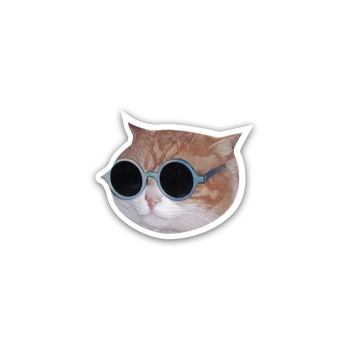 Cat Sunglasses 😎 meme