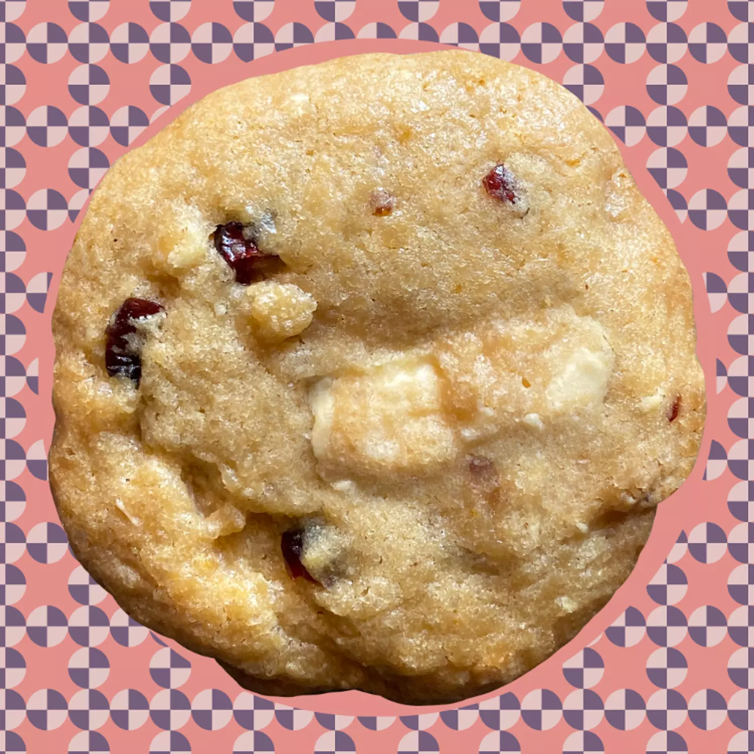 WHITE CHOCOLATE CRANBERRY  hover image